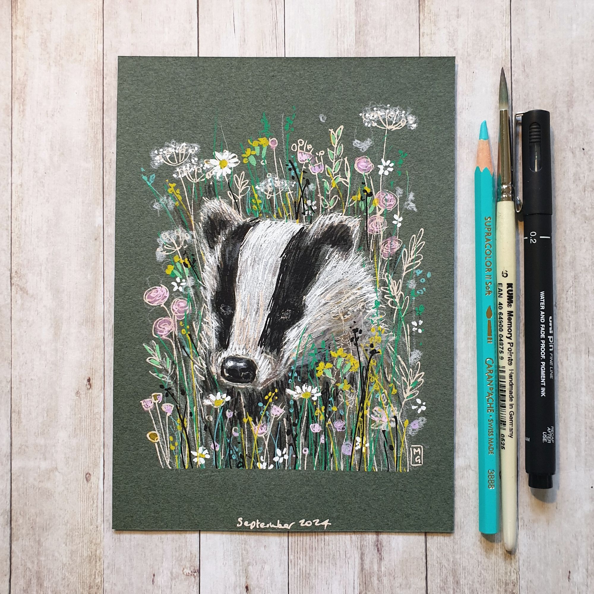 Original drawing - Badger in a Flower Patch
A colour drawing of a European badger in a flower patch.
Materials: colour pencil, mixed media, acid free green pastel paper
Width: 5 inches
Height: 7 inches