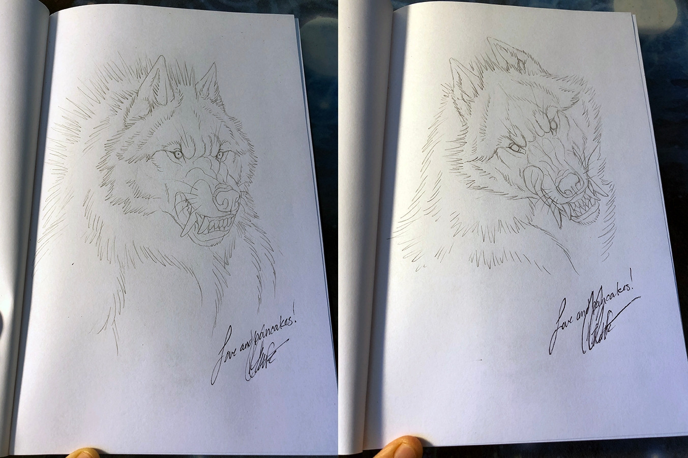 Two different sketches of werewolf heads on the inside cover of a novel