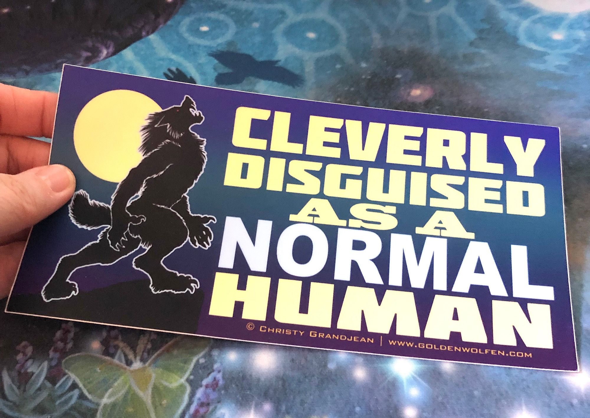 Photo of a hand holding a bumper sticker with a howling werewolf that reads "Cleverly disguised as a normal human"