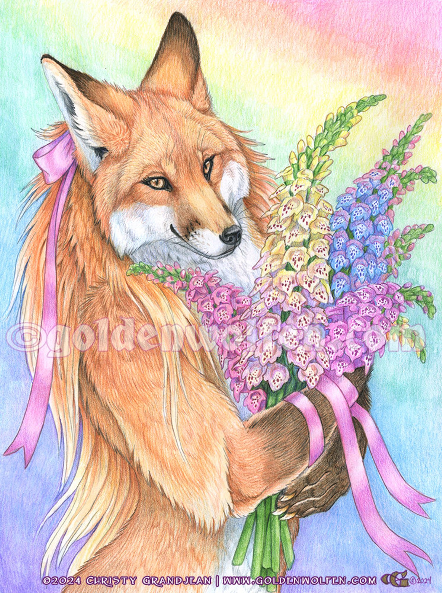 Watercolor and colored pencil art of a red fox vixen holding an armful of Foxglove flowers