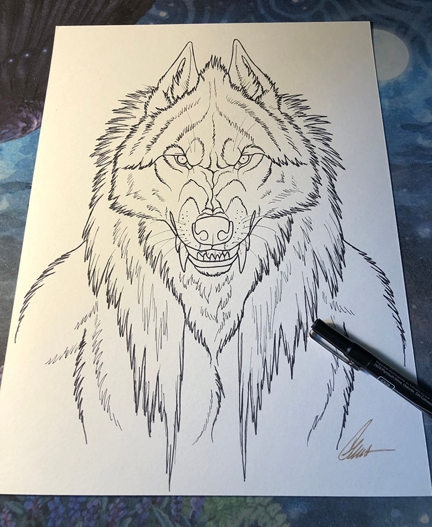 Ink drawing of an intensely staring werewolf