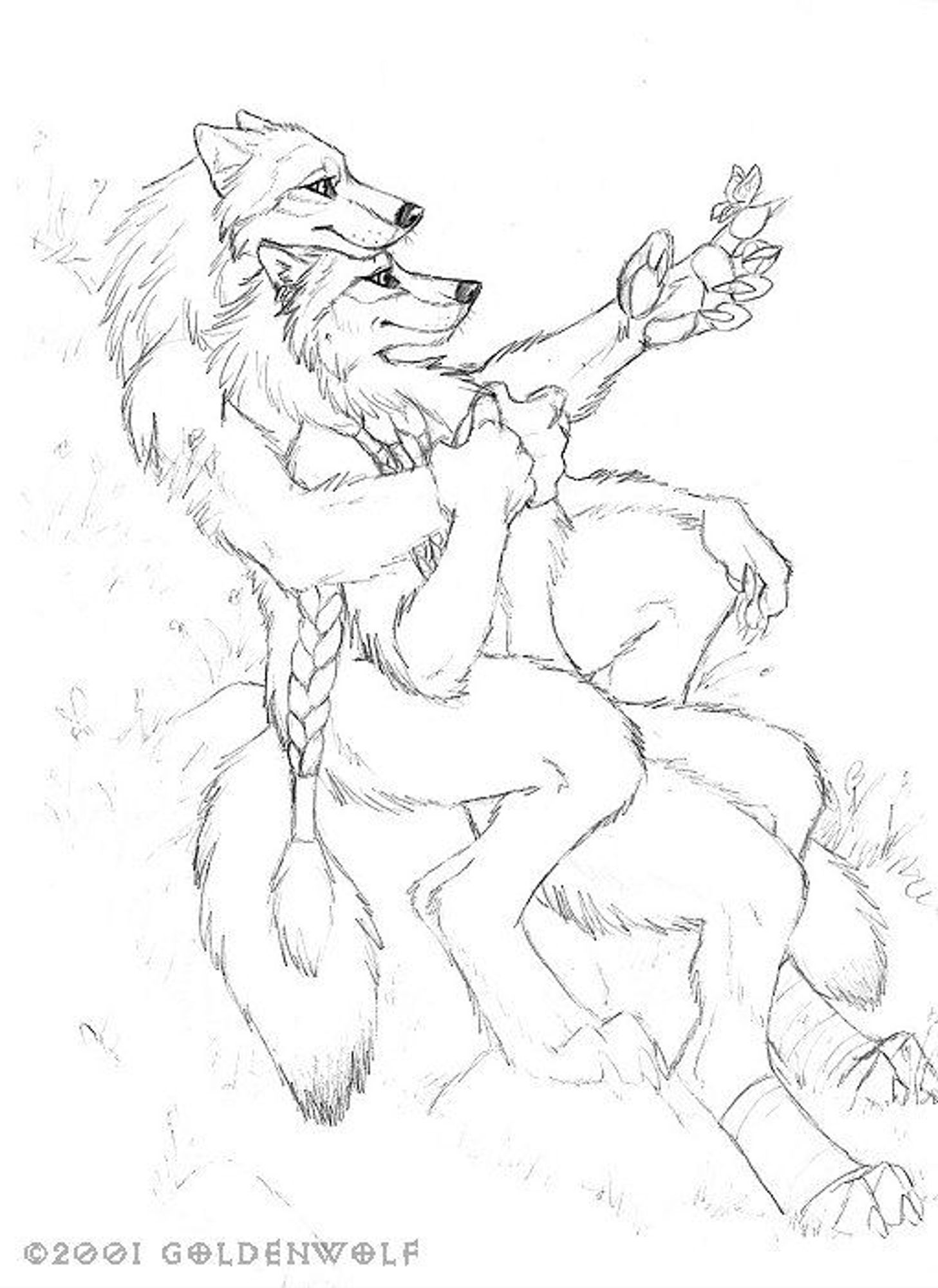 Pencil drawing of two anthro wolves cuddling and admiring a butterfly