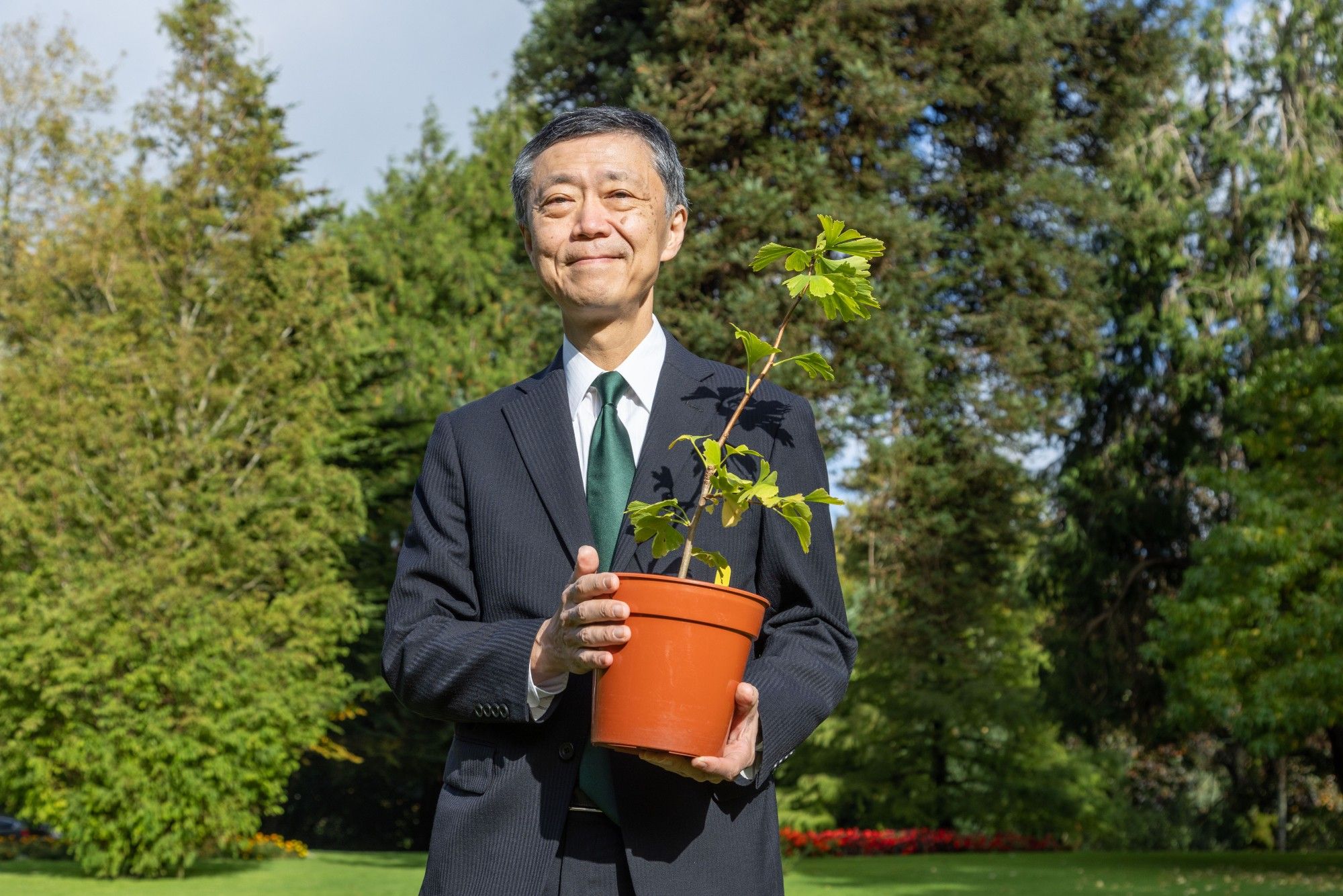 Japan’s Ambassador to Ireland, Mr. Norio Maruyama, holds a Ginkgo tree which germinated in UCC from the seeds of a 200-year-old tree which survived the detonation of a nuclear bomb over the Japanese city of Hiroshima. Image credit: UCC TV's Max Bell