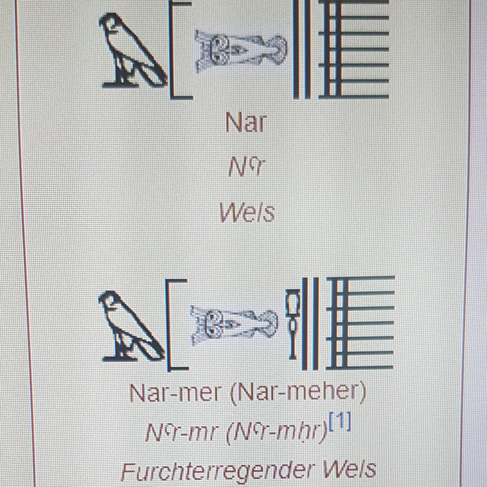 Pharaoh Wels, der furchterregende Wels