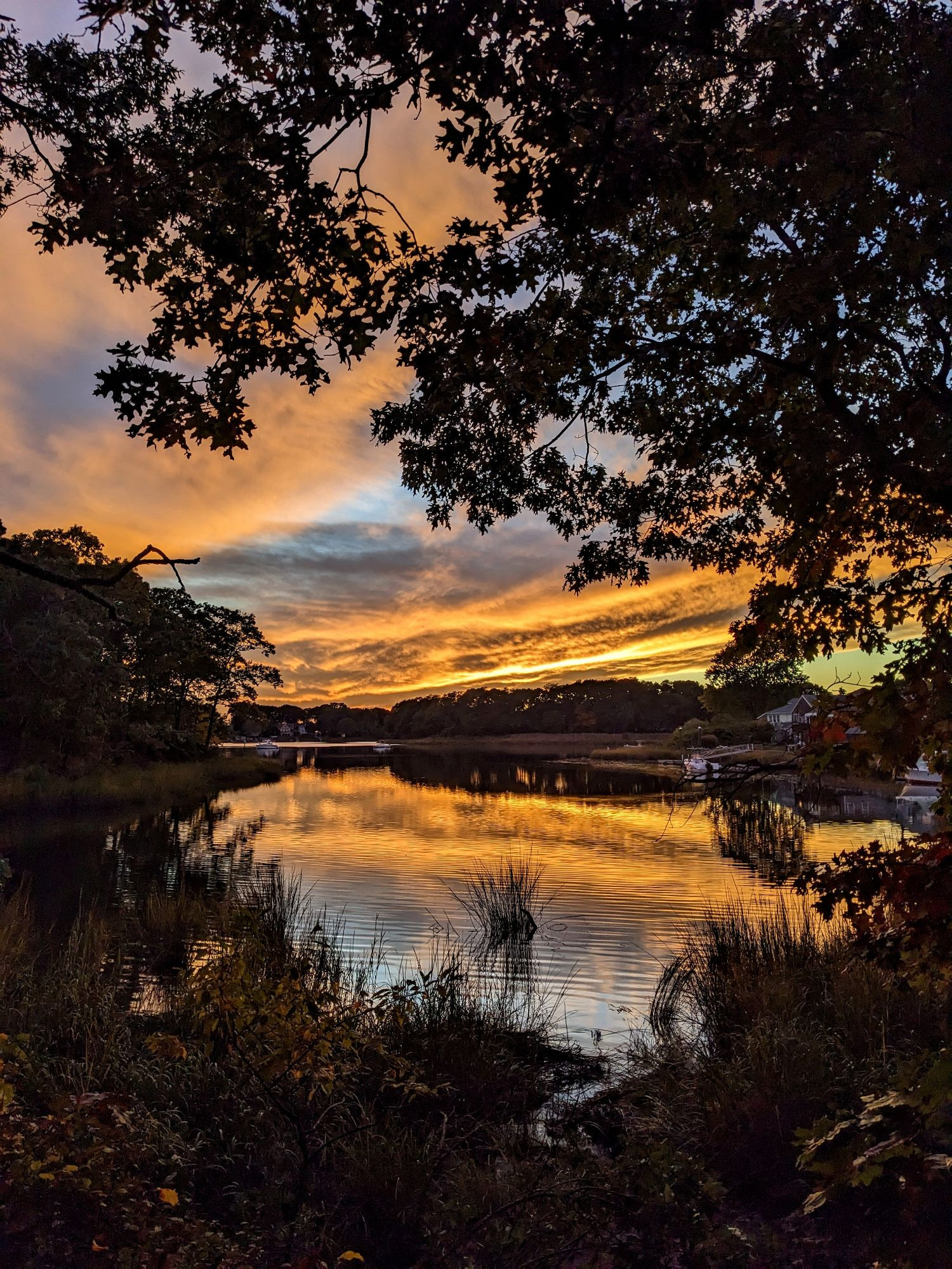 More yellow orange sky reflecting on the Easter with trees 