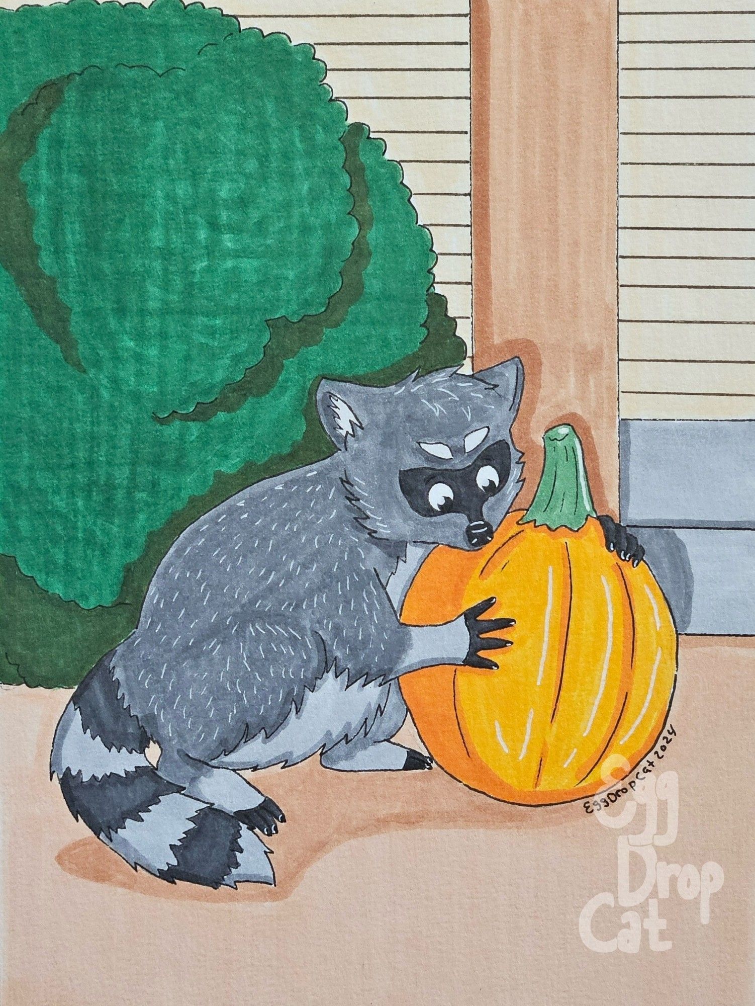 A marker drawing of a raccoon hugging a pumpkin outside a front porch of a house