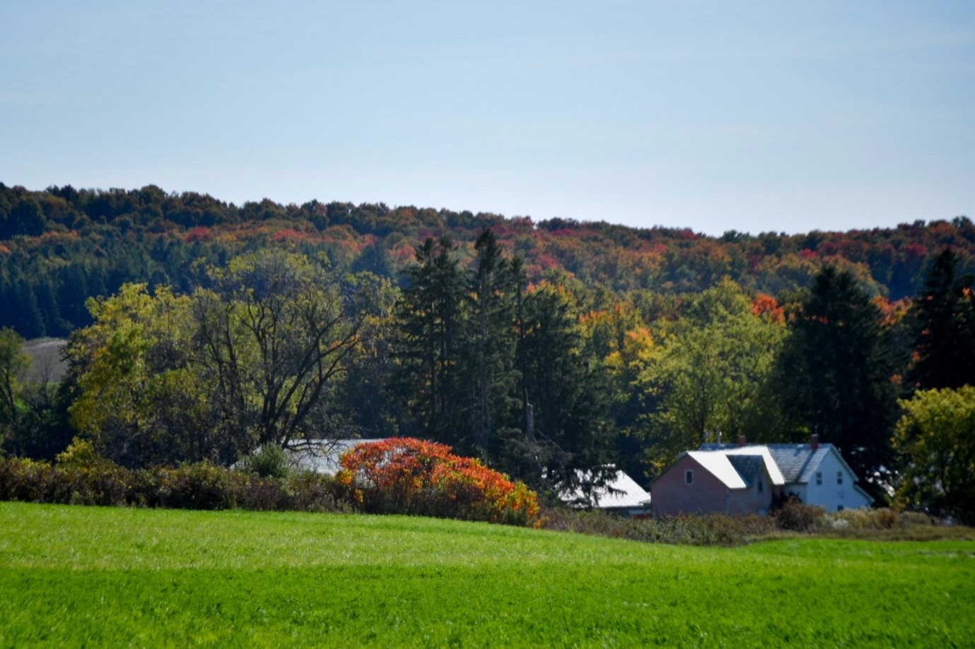 Rolling hillside with a farm below.  Autumn trees surrounding