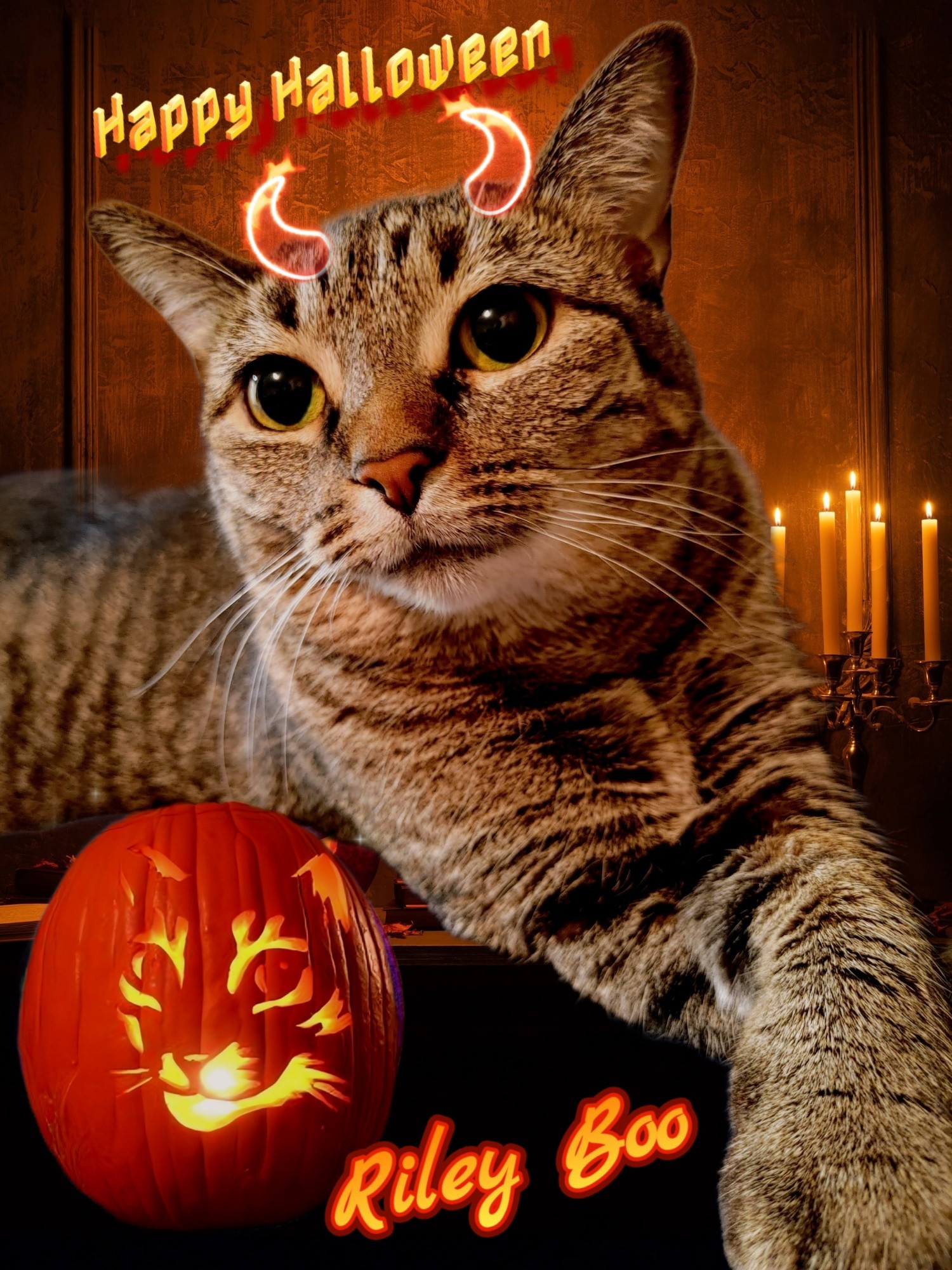 A naughty Tiger Tabby lays across a mantle with a pumpkin cutout of here face lit and say Happy Halloween Riley Boo