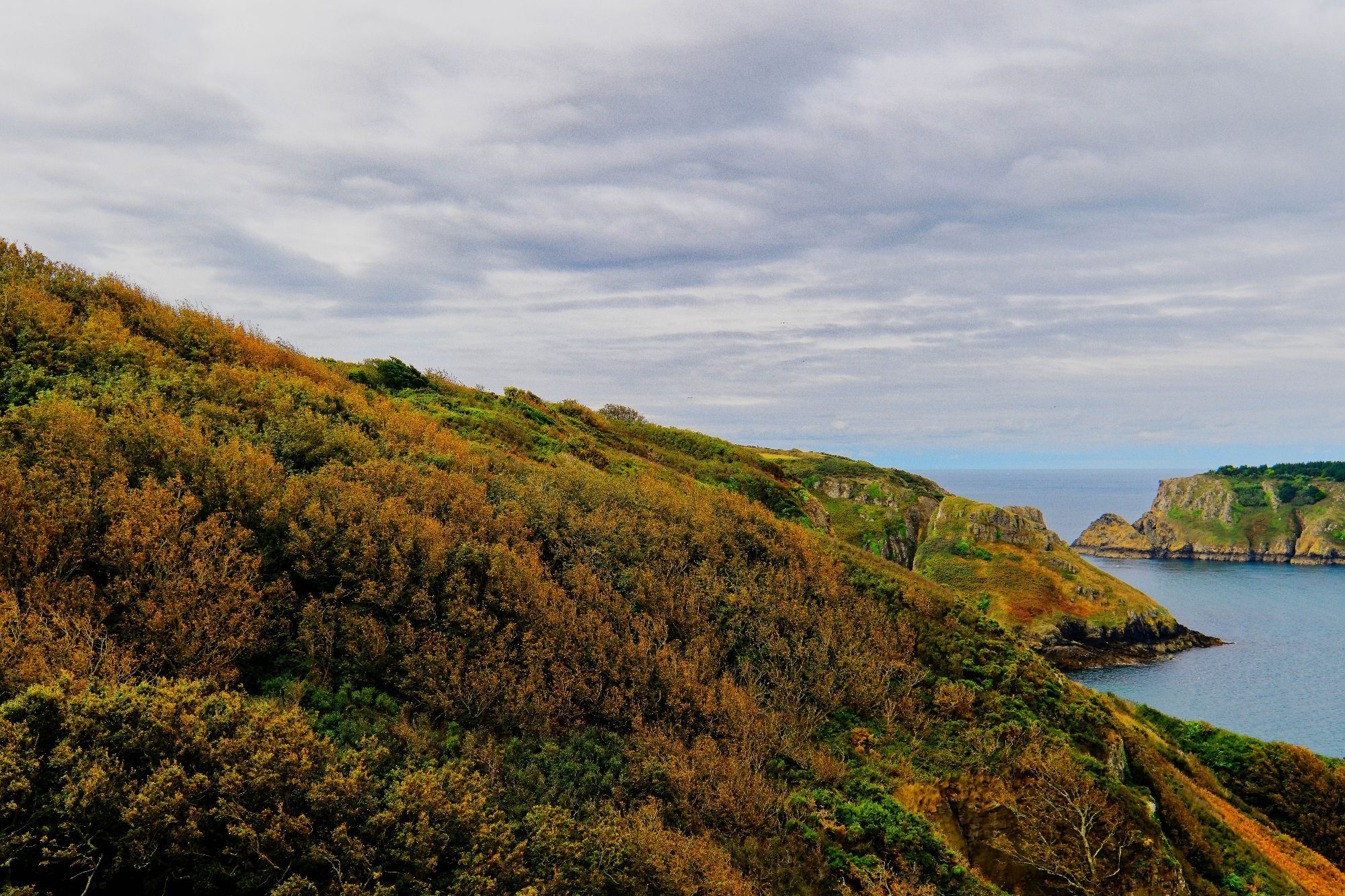 I'm not good at describing things, so I used ChatGPT to generate this description as it will be more detailed than I could make it. 

The image shows a rugged coastal landscape under a cloudy sky. In the foreground, there are steep, sloping hills covered with dense green and brownish-yellow foliage, as summer turns to autumn. The hillside leads down towards a cliff edge, and in the background, the view extends to rocky outcroppings jutting into a calm blue sea.