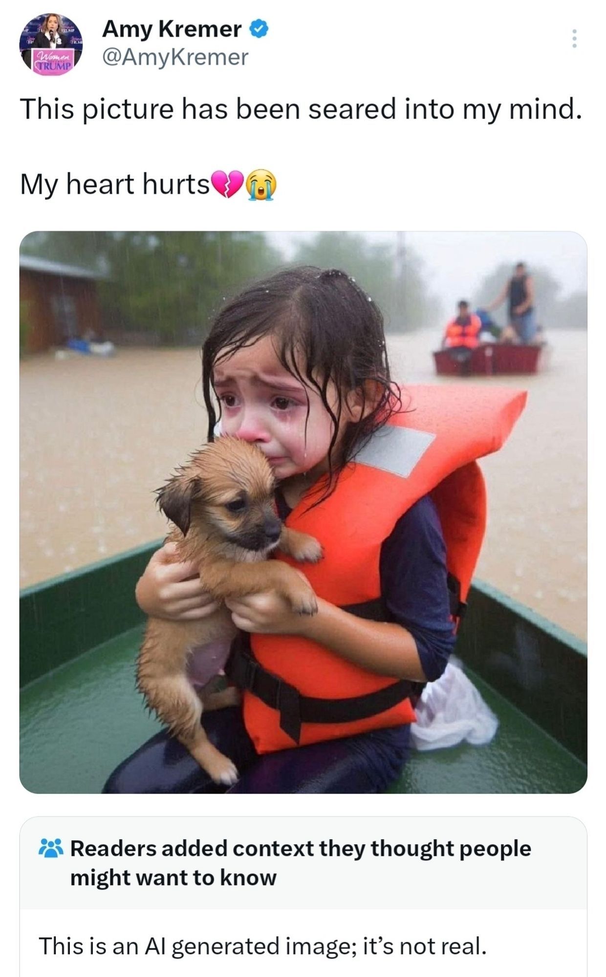 Hurricane Helene deepfake