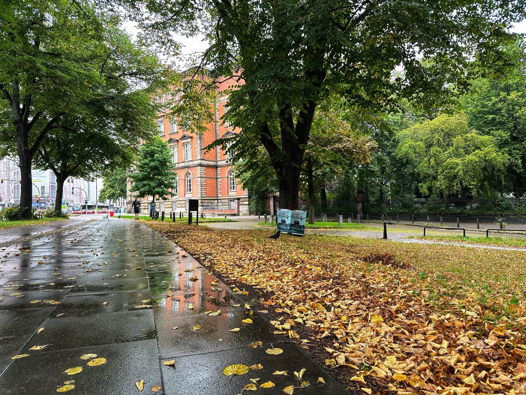 Altbau der Stabi Hamburg