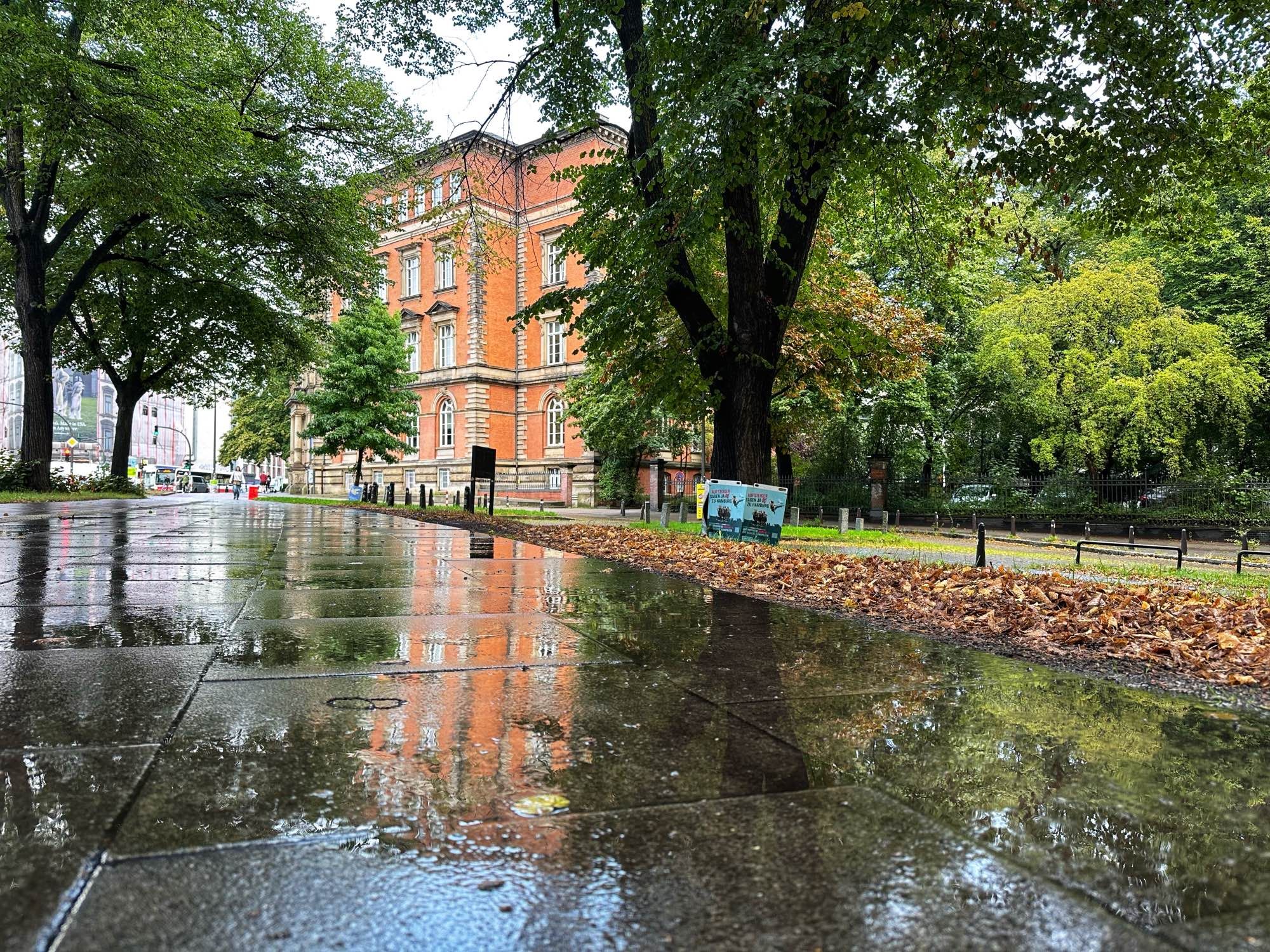 Altbau der Stabi samt Spiegelung in einer Pfütze