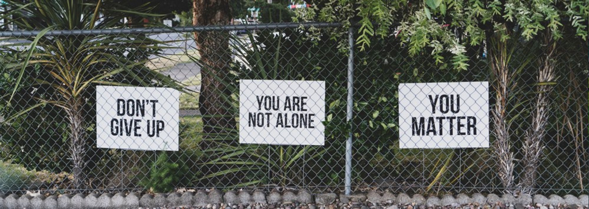 Three signs behind a chain link fence. The signs read "don't give up", "you are not alone" and "you matter"