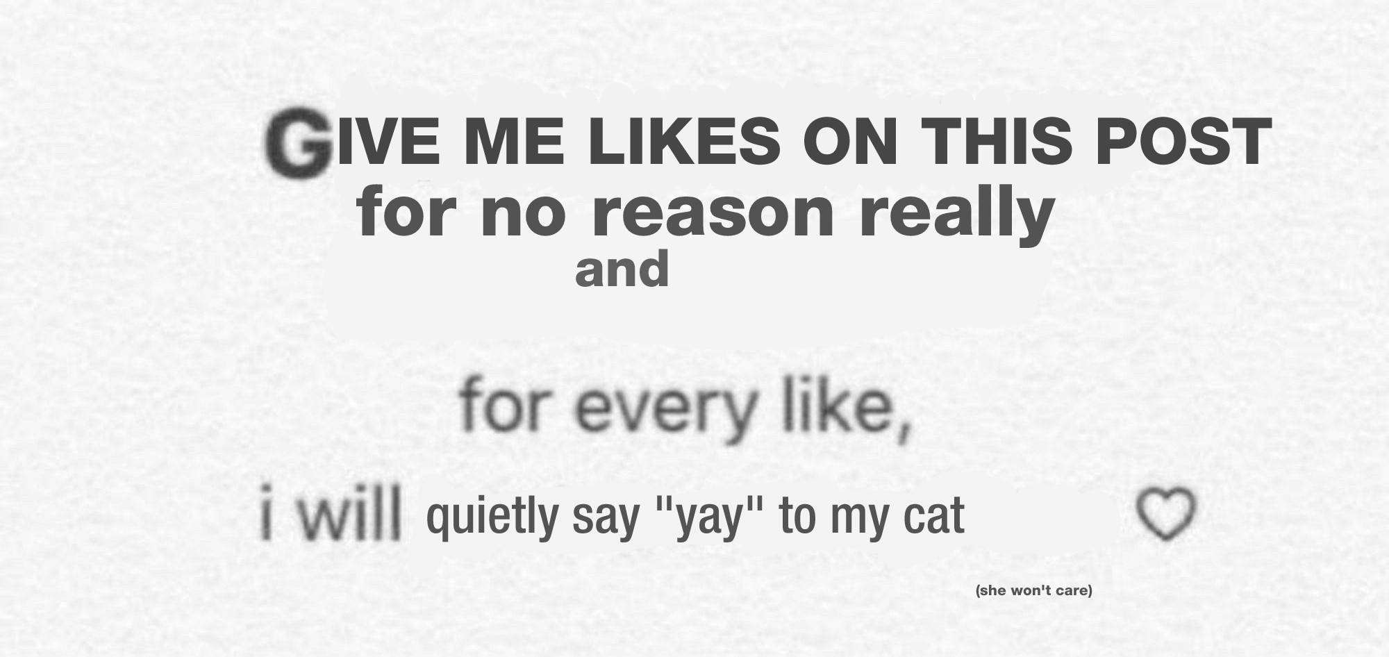 a lazily edited version of the current meme image really going around; it used to say "get to know my music taste, for every like, i will post one song I love"; now it says: "GIVE ME LIKES ON THIS POST for no reason really and for every like, I will quietly say 'yay' to my cat (she won't care)". i am very very tired and sore