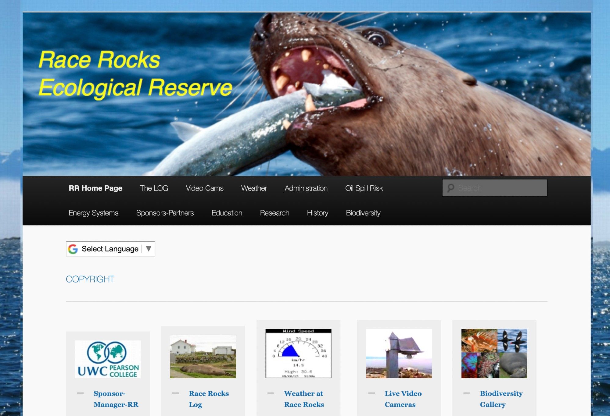 The header image of racerocks.ca, showing a seal (maybe a sea lion) with its mouth wide open and a fish dangling out of its gaping maw.