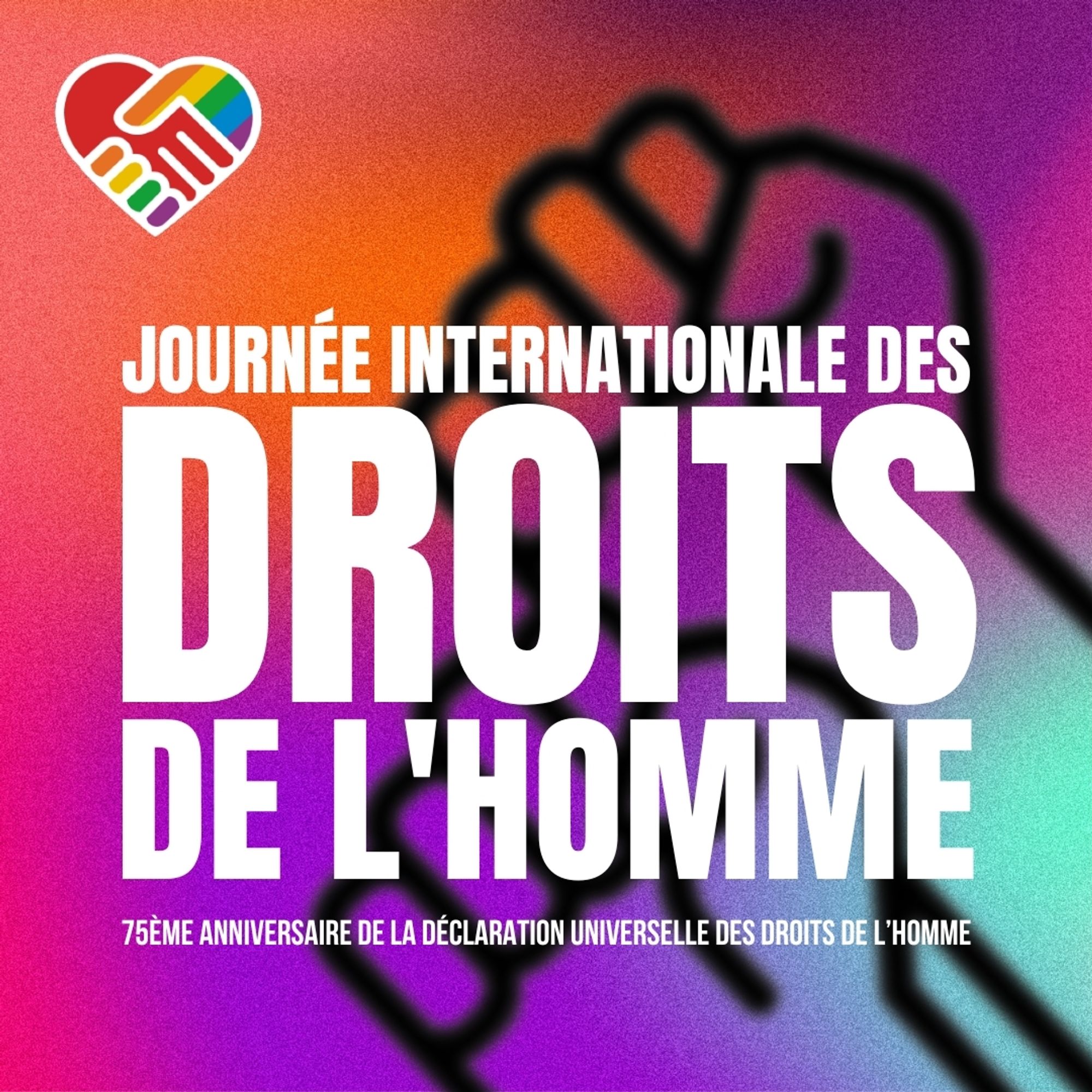 Journée internalionale des Droits de l'Homme

75ème anniversaire de la déclaration universelle des Droits de l'Homme