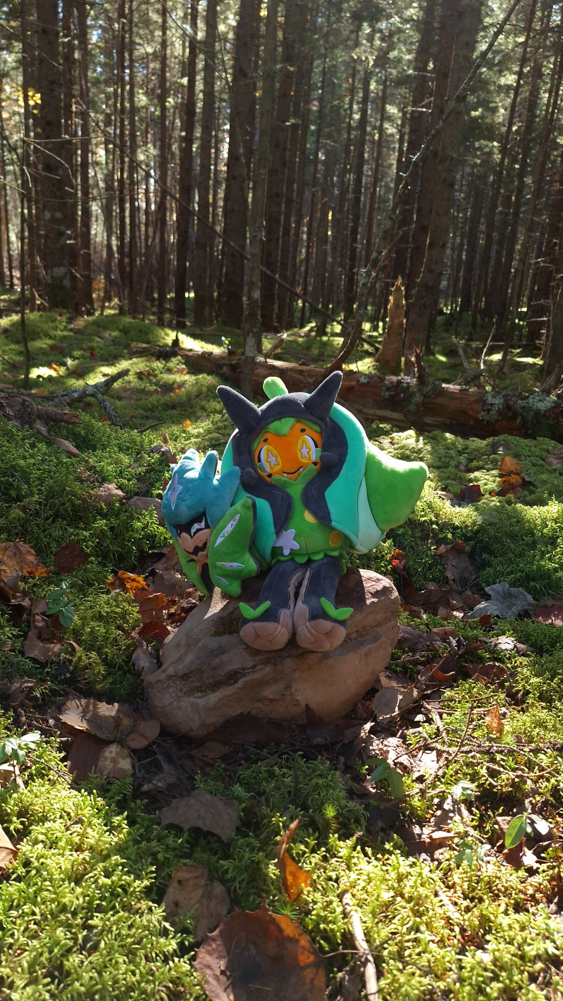 A photo of a plush of the Pokémon Ogerpon sitting on a rock, surrounded by moss, trees and fallen leaves.