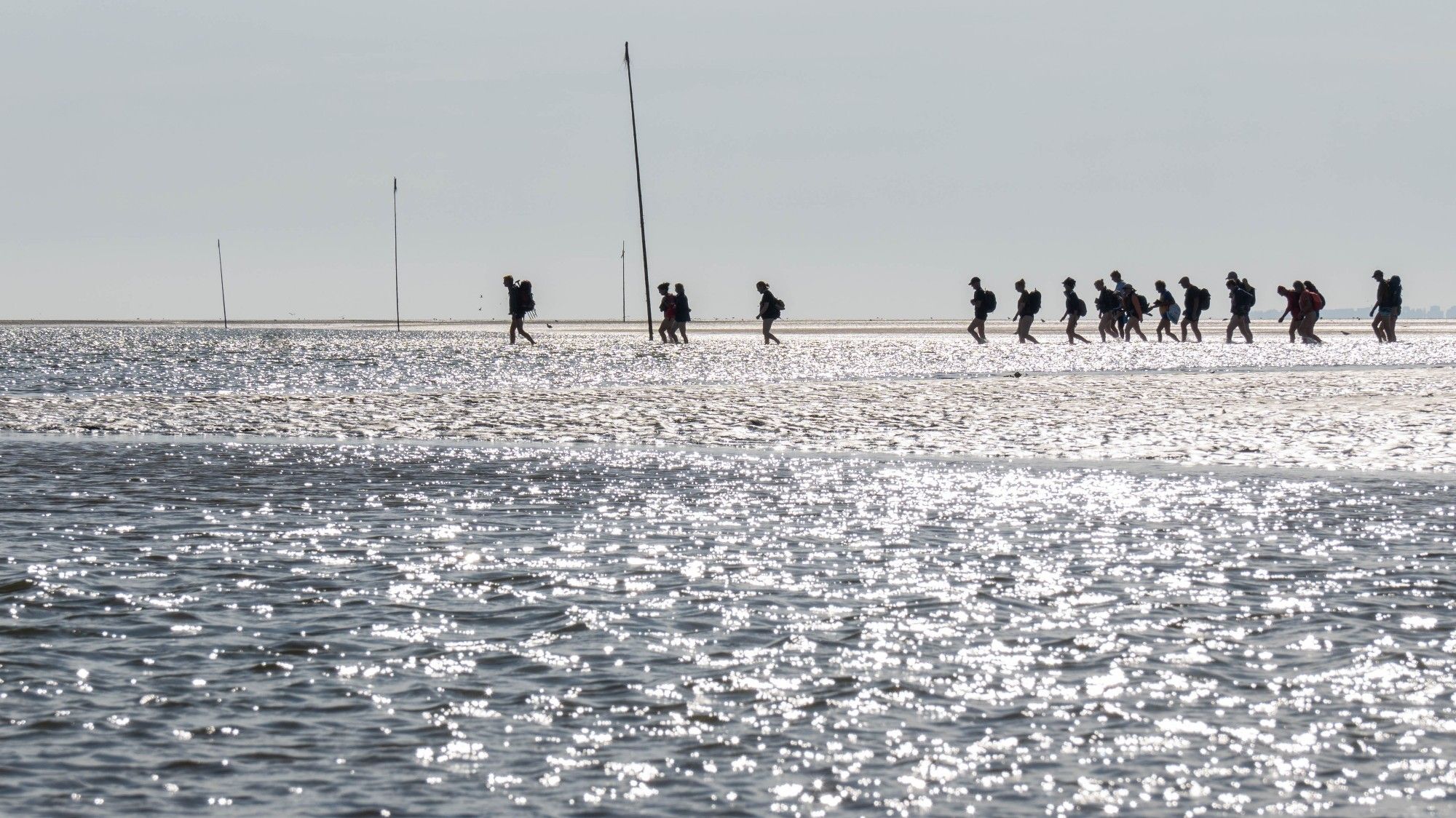 Eine Gruppe Menschen wandert durchs Wattenmeer