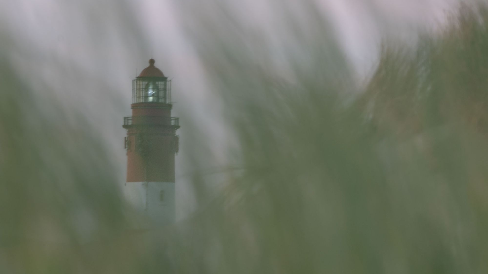 Spitze eines Leuchtturms, fotografiert durch Gras