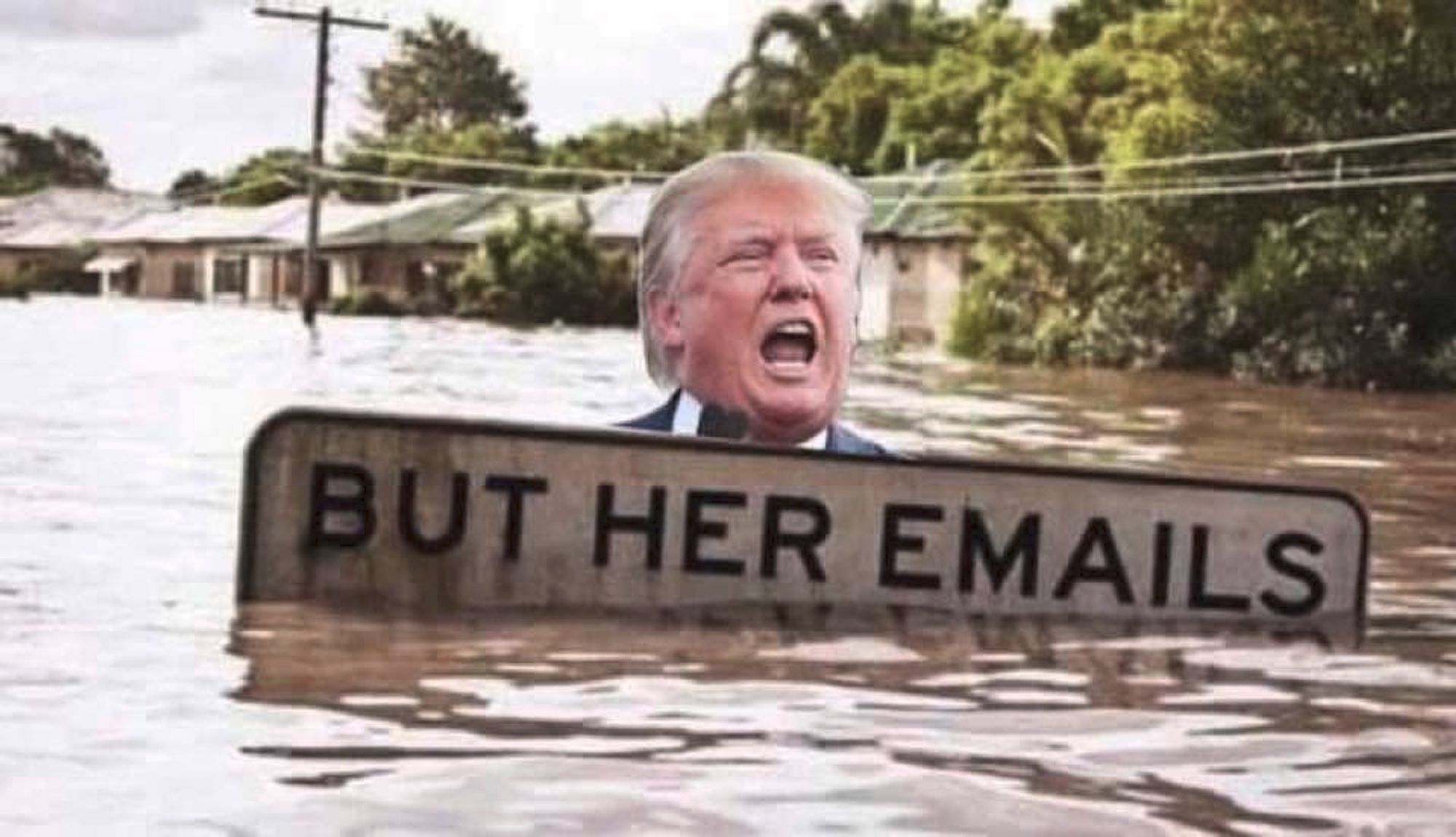 Photo appearing to depict Donald Trump standing chest-deep in floodwaters, holding a sign that says, "BUT HER EMAILS"