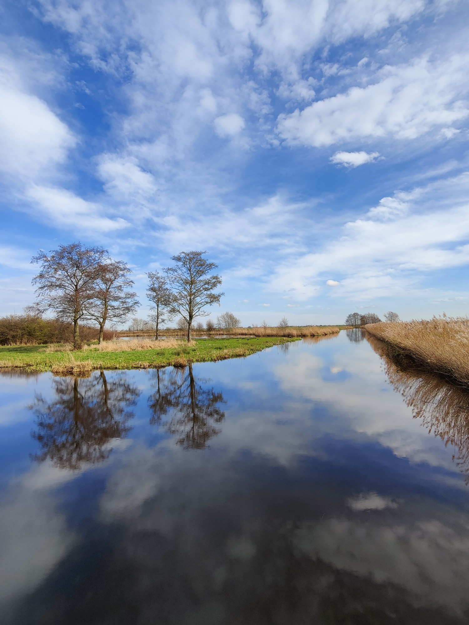 Reeuwijkse Plassen: