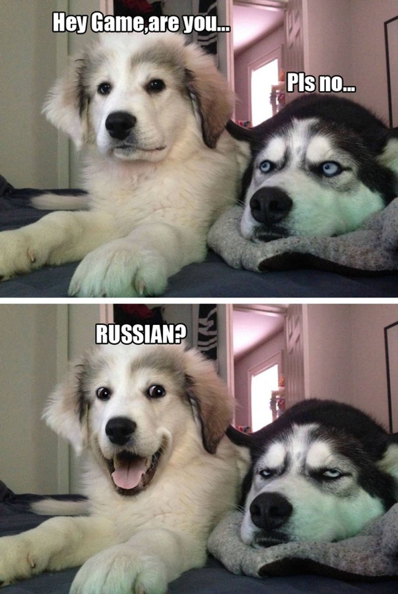 Two dogs.
First one says “Hey Game, are you...”
The second says “Pls no...”
The first says “RUSSIAN?”
The second looks depressed.