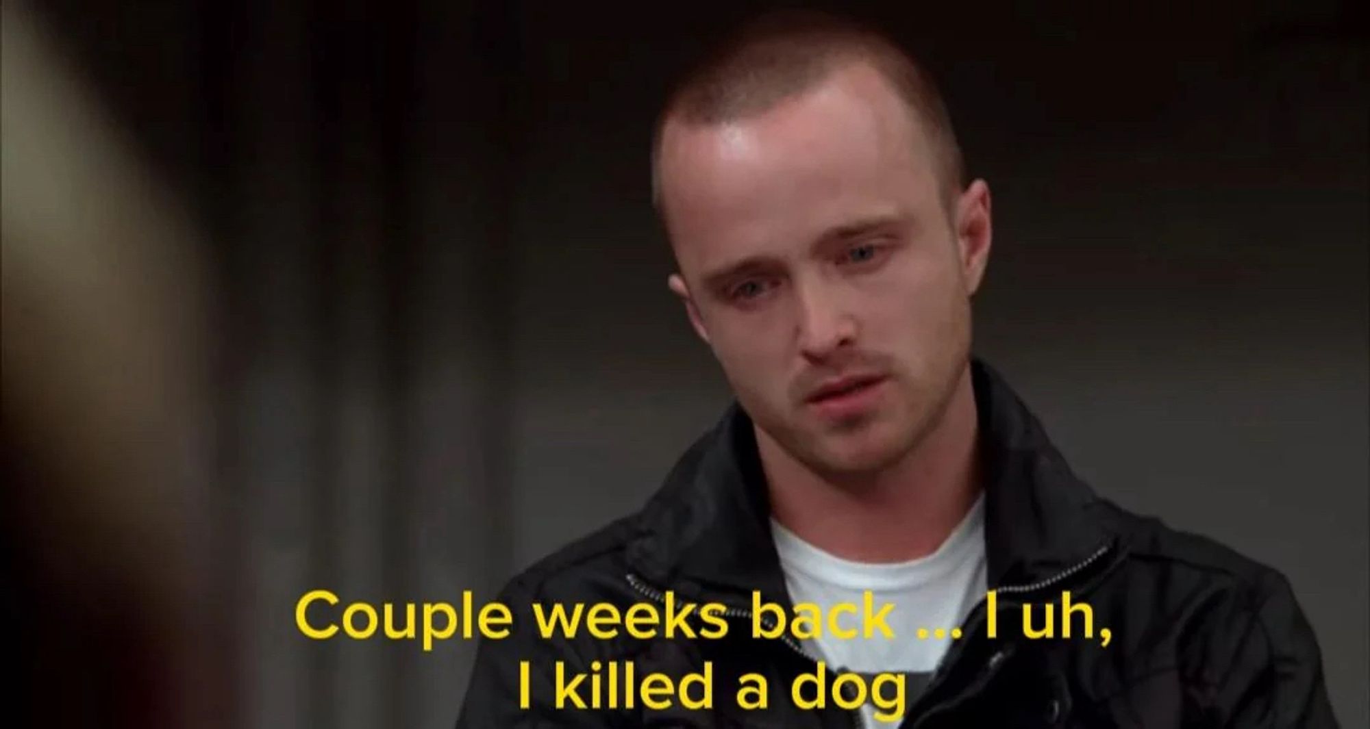 jesse pinkman in breaking bad, the scene where he says “couple weeks back… i uh, i killed a dog”