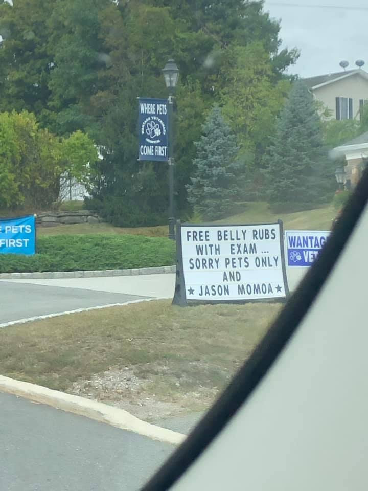 The image shows a humorous sign outside a veterinary clinic. The main sign reads: "FREE BELLY RUBS WITH EXAM ... SORRY PETS ONLY AND JASON MOMOA." The sign is placed on the grass near the entrance, with a lamppost and a blue sign nearby that reads, "WHERE PETS COME FIRST." There are trees and a building in the background. The joke in the sign plays on the idea that Jason Momoa, a popular actor, is the only human exception allowed for belly rubs, adding a lighthearted touch to the clinic’s offer for pets.