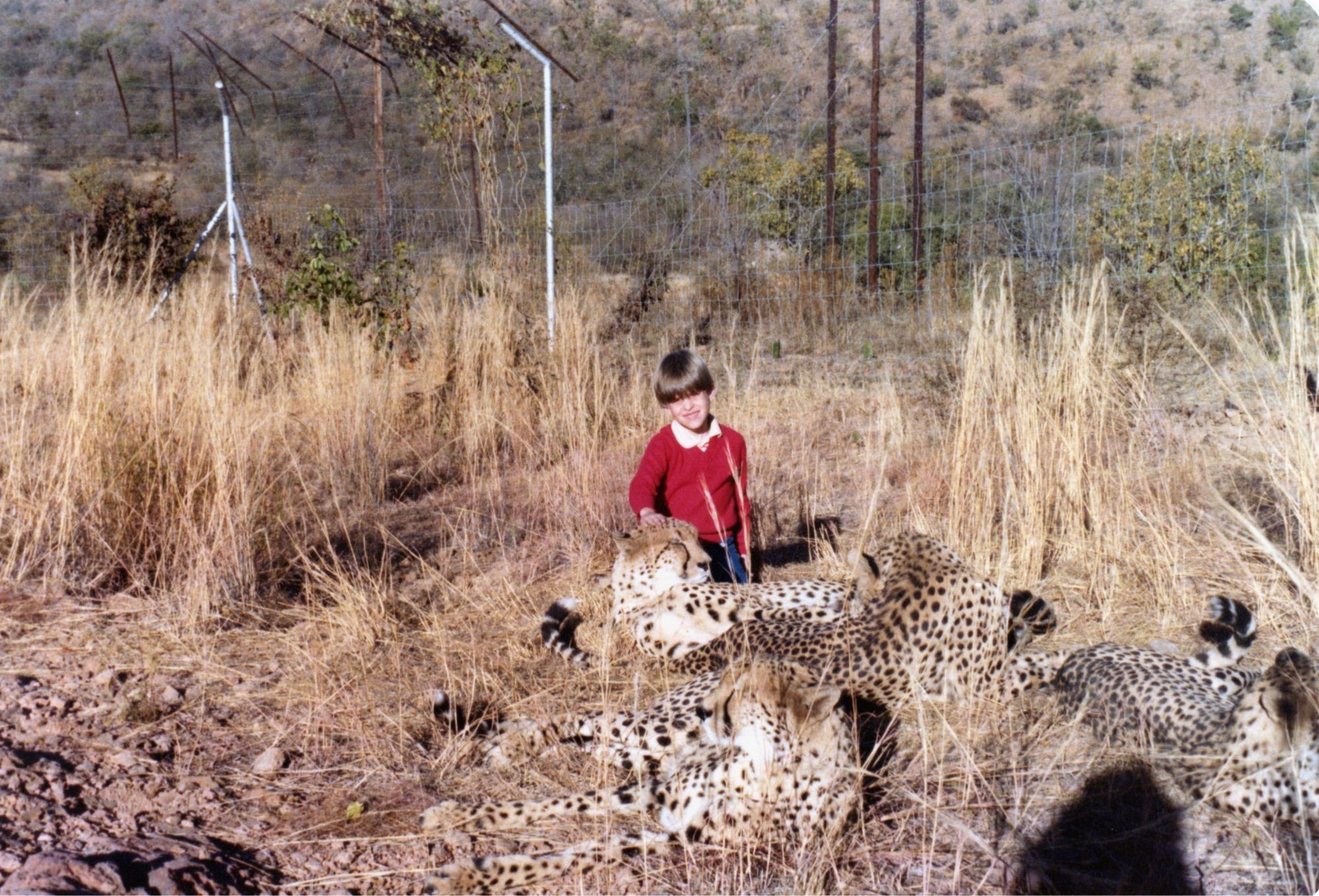 Me, age 6 or so, at a cheetah rescue in South Africa