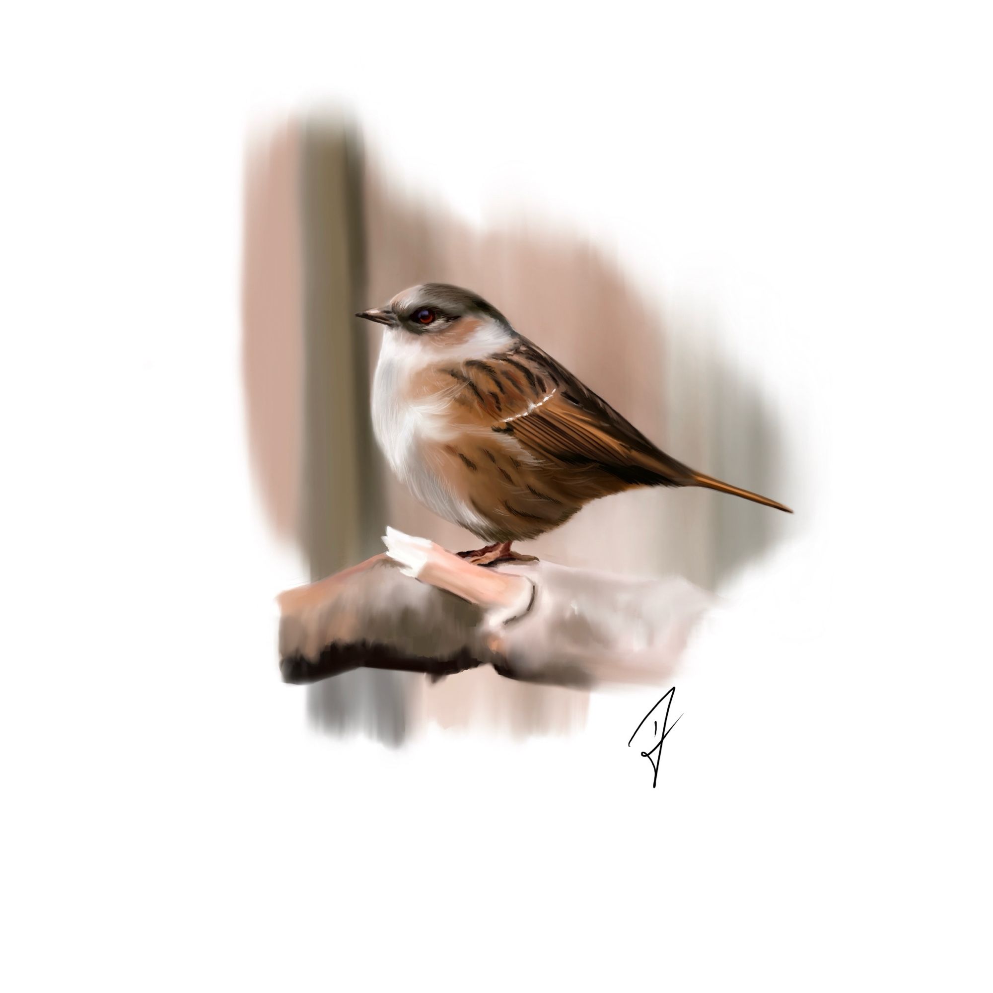 Digitale Zeichnung einer Heckenbraunelle auf einem Ast. Die Farben des Vogels in bräunlichen orangenen Tönen, finden sich auch im Hintergrund. Selbst der Ast ist fast Ton in Ton mit dem Vogel und dem Hintergrund, sogar mit den weißen Akzenten.

Digital drawing of a dunnock on a branch. The colors of the bird in brownish orange tones can also be found in the background. Even the branch is almost tone on tone with the bird and the background, even with the white accents.