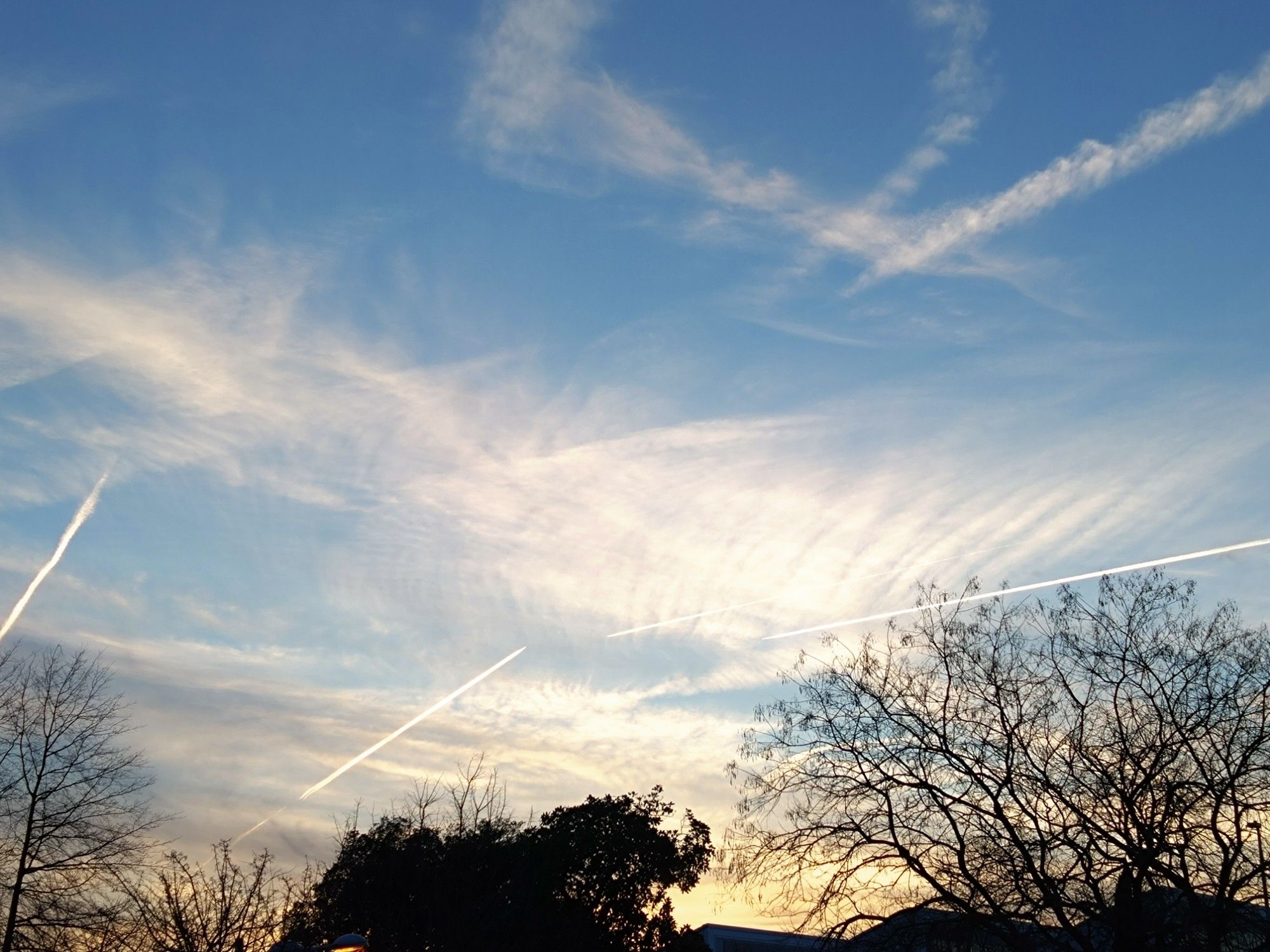 Cirrus et traînées de condensation au soleil couchant