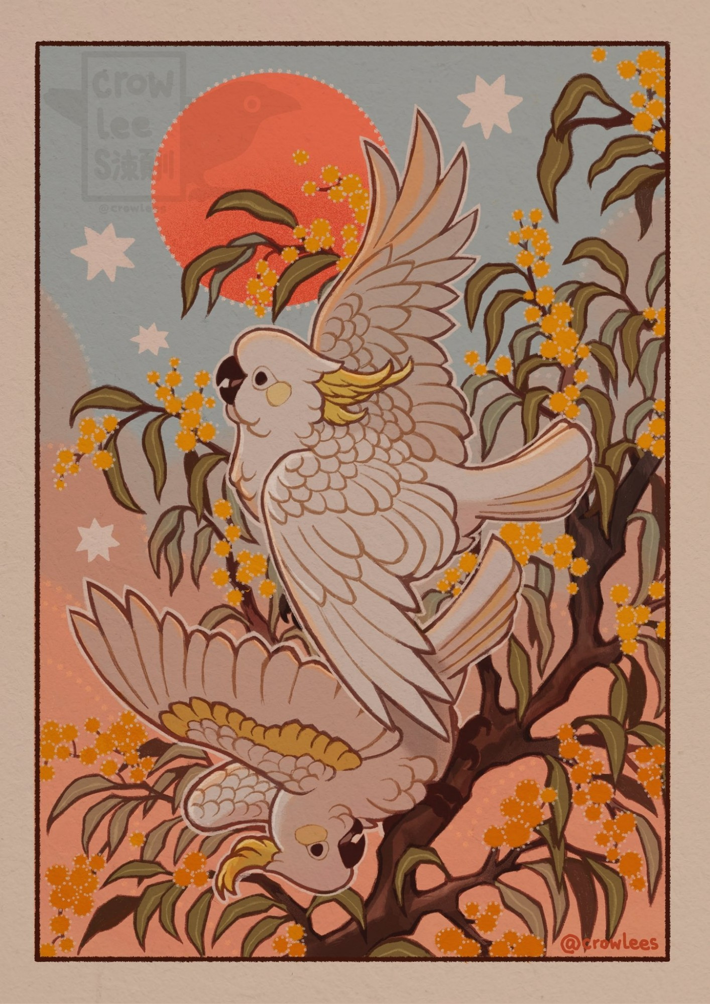 an illustration of two sulphur-crester cockatoos playing on a branch of golden wattle against a pastel sunset sky and red sun