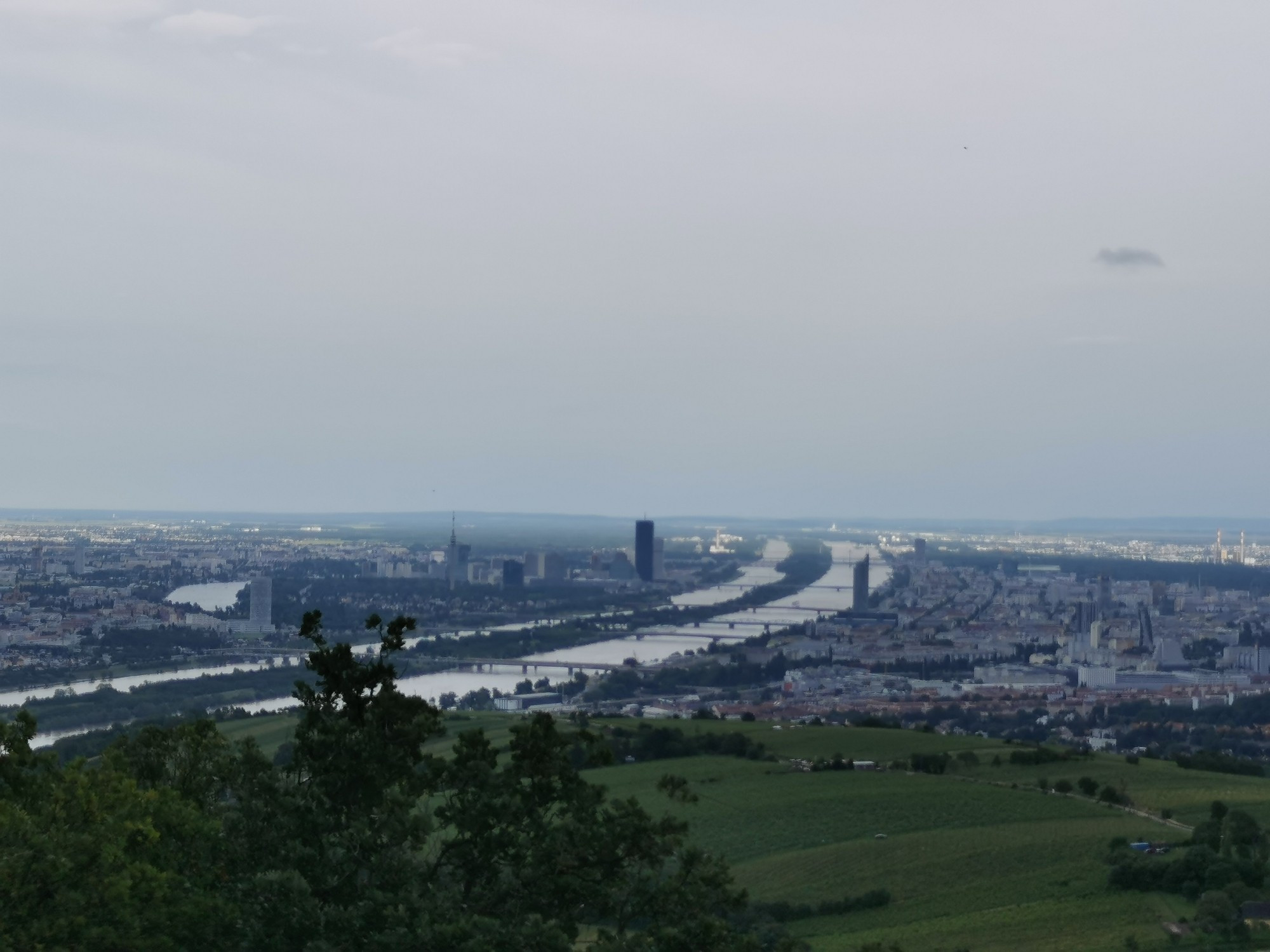 Vista di Vienna da Kalenberg