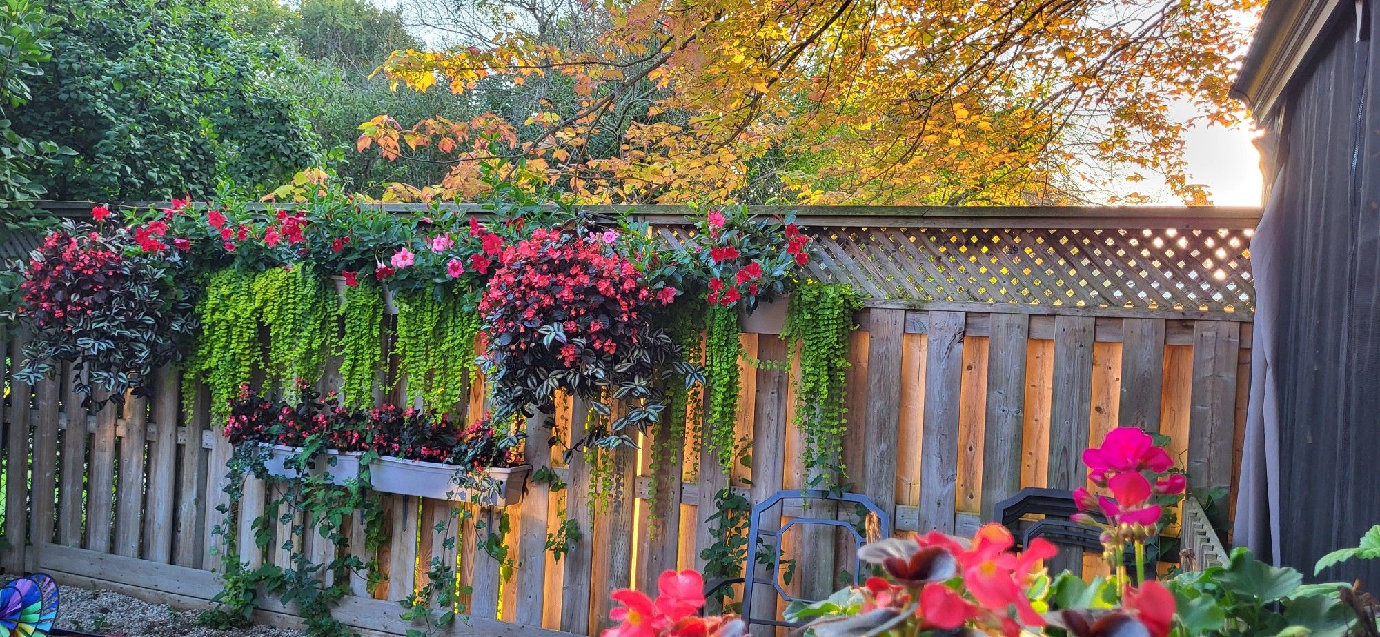 Fence with flower baskets 