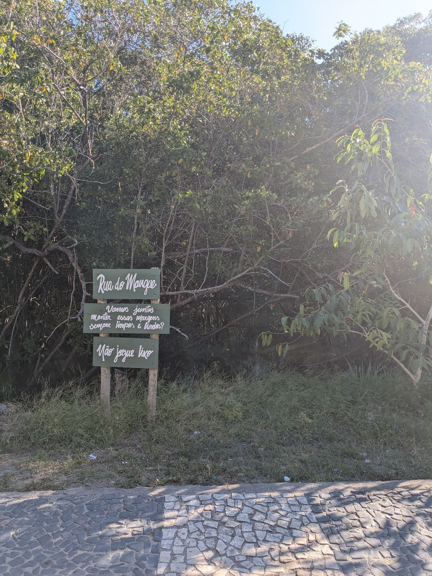 foto do manguezal que dá o apelido de uma das ruas principais da cidade de porto seguro, bahia, tirada da calçada construída às margens desse ecossistema; a calçada está visível na parte inferior da foto, em estilo português. dá para ver as árvores características do mangue, retorcidas e baixas, junto ao rio e a pedaços de grama, e uma plaquinha verde tripla de madeira com os escritos "rua do mangue", "vamos juntos manter nossas margens sempre limpas e lindas?", "não jogue lixo", em branco e letras cursivas.