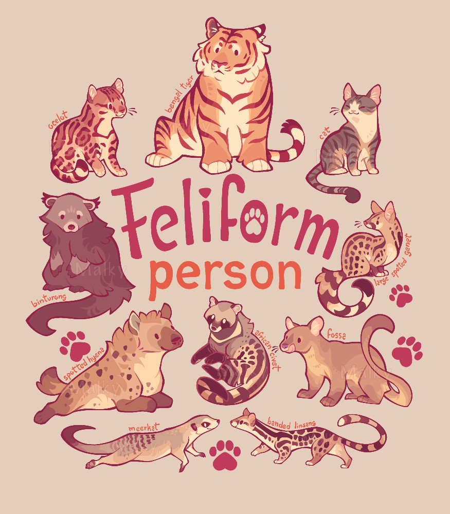 cute illustration of feliform (cat shaped) animals. From left to right, top to bottom: ocelot, tiger, cat, binturong, genet, spotted hyena, african civet, fossa, meerkat and large spotted linsang. 