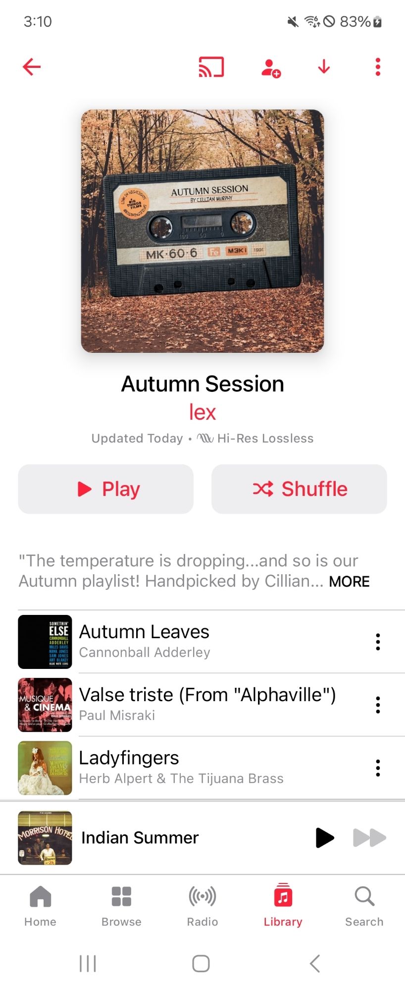 screenshot of an apple music playlist I created to mirror big things films' (cillian murphy's production company) "autumn session" playlist on spotify