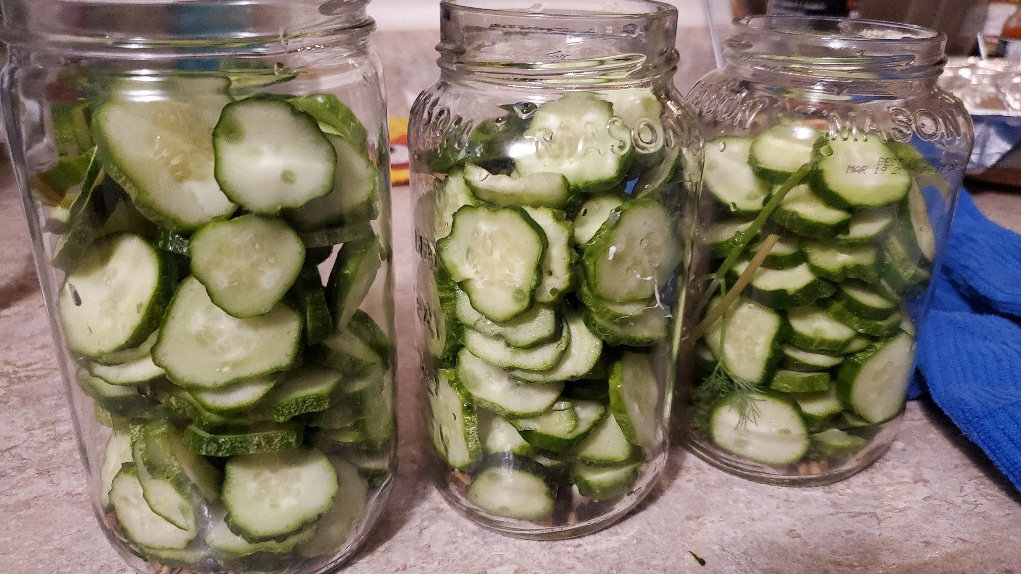 3 glass jars full of cucumbers and pickling spices, ready for a brine and a week in the fridge