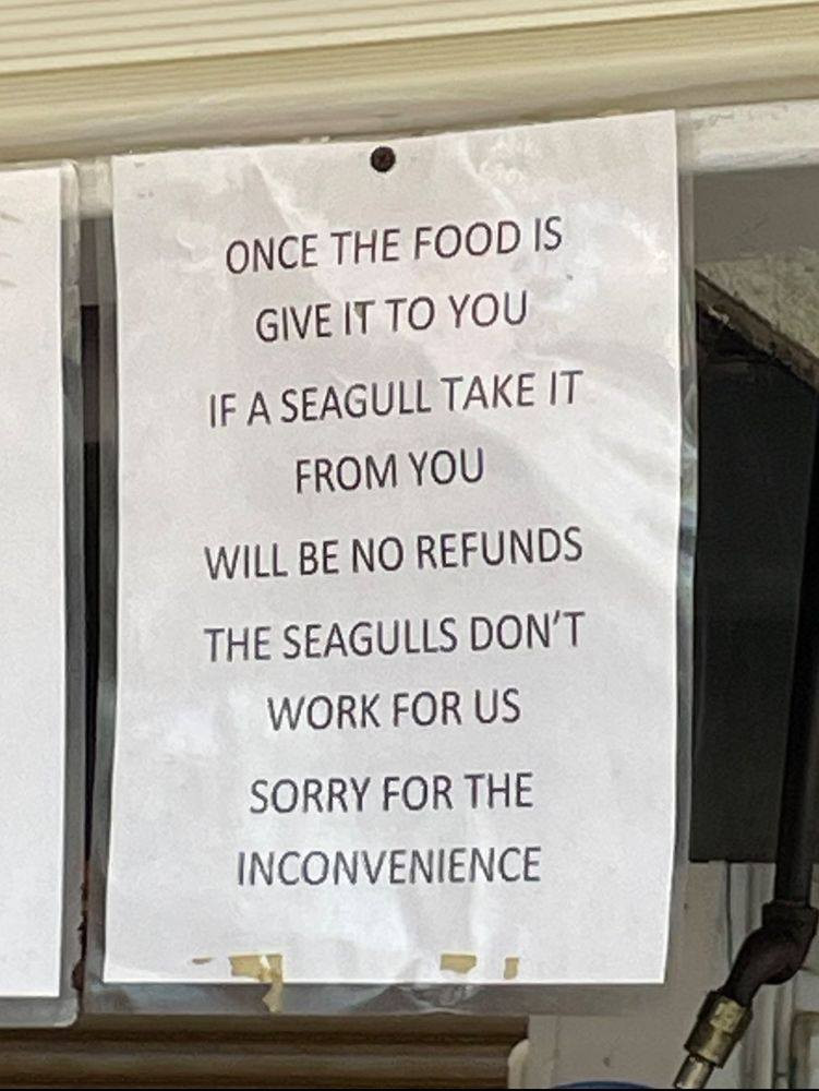 Shop sign reading "Once the food is give to you if a seagull take it from your will be no refunds. The seagulls don't work for us. Sorry for the inconvenience."