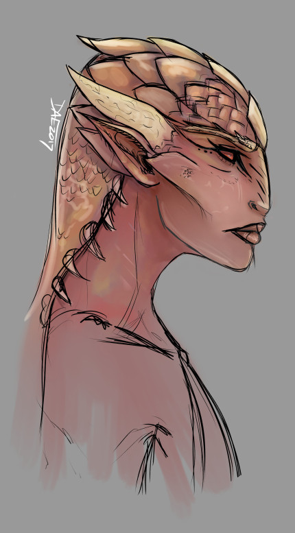 A profile sketch on an alien woman with red to pale yellow scales, a flattish nose and bony rectangular shaped structures projecting flat along her cheekbones, above them is a horn coming from above her ear.  Instead of hair she has large flat scales going into a horizontal short crest at the back of her head.  From the underside lays a long frill covered in smaller scales with soft but protective spikes sticking out the sides that lays down her back like long hair.