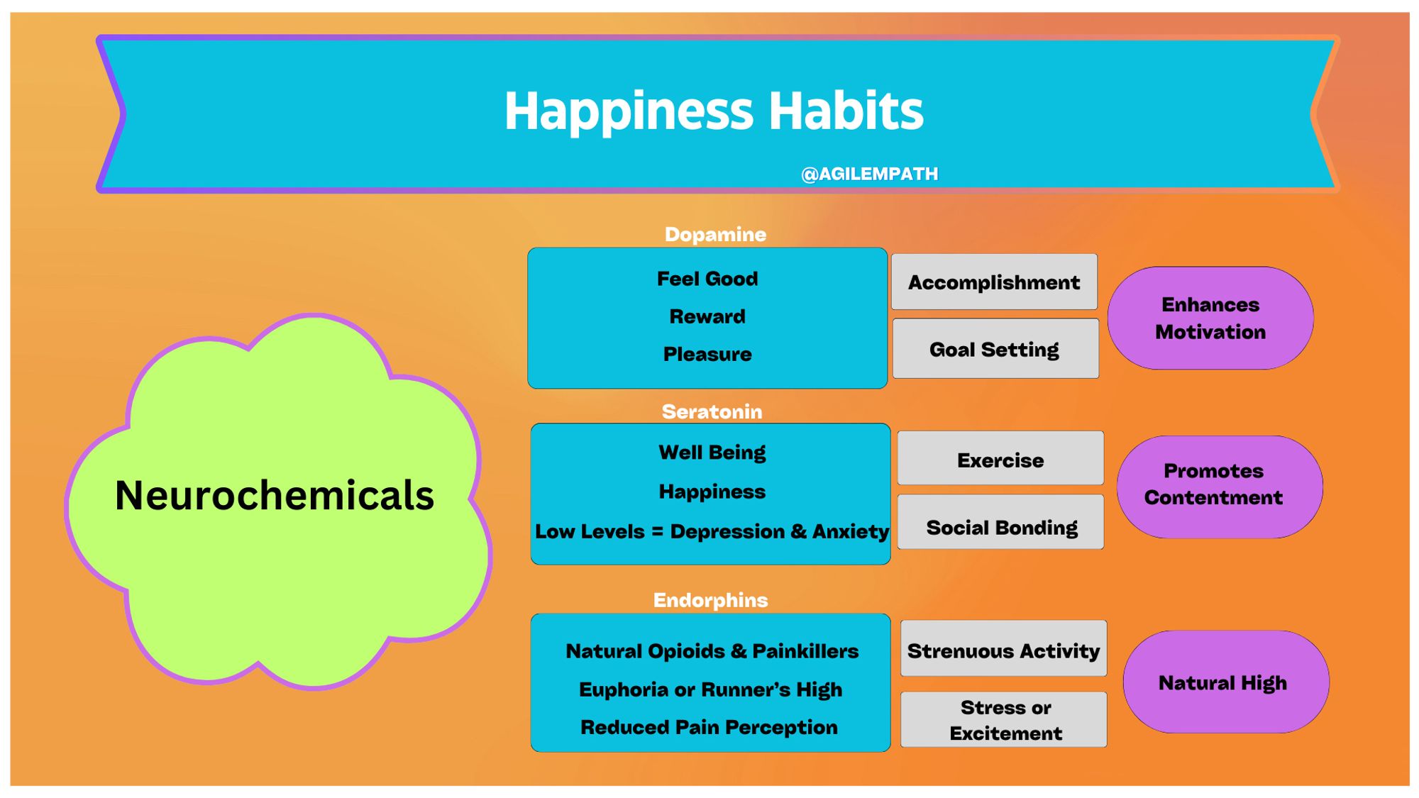 Cultivating happiness is a lifelong journey, and there are many habits and practices that can contribute to a happier and more fulfilling life. Happiness Habits are a great way to improve your mental, spiritual, and physical health. You may be asking, how is that?