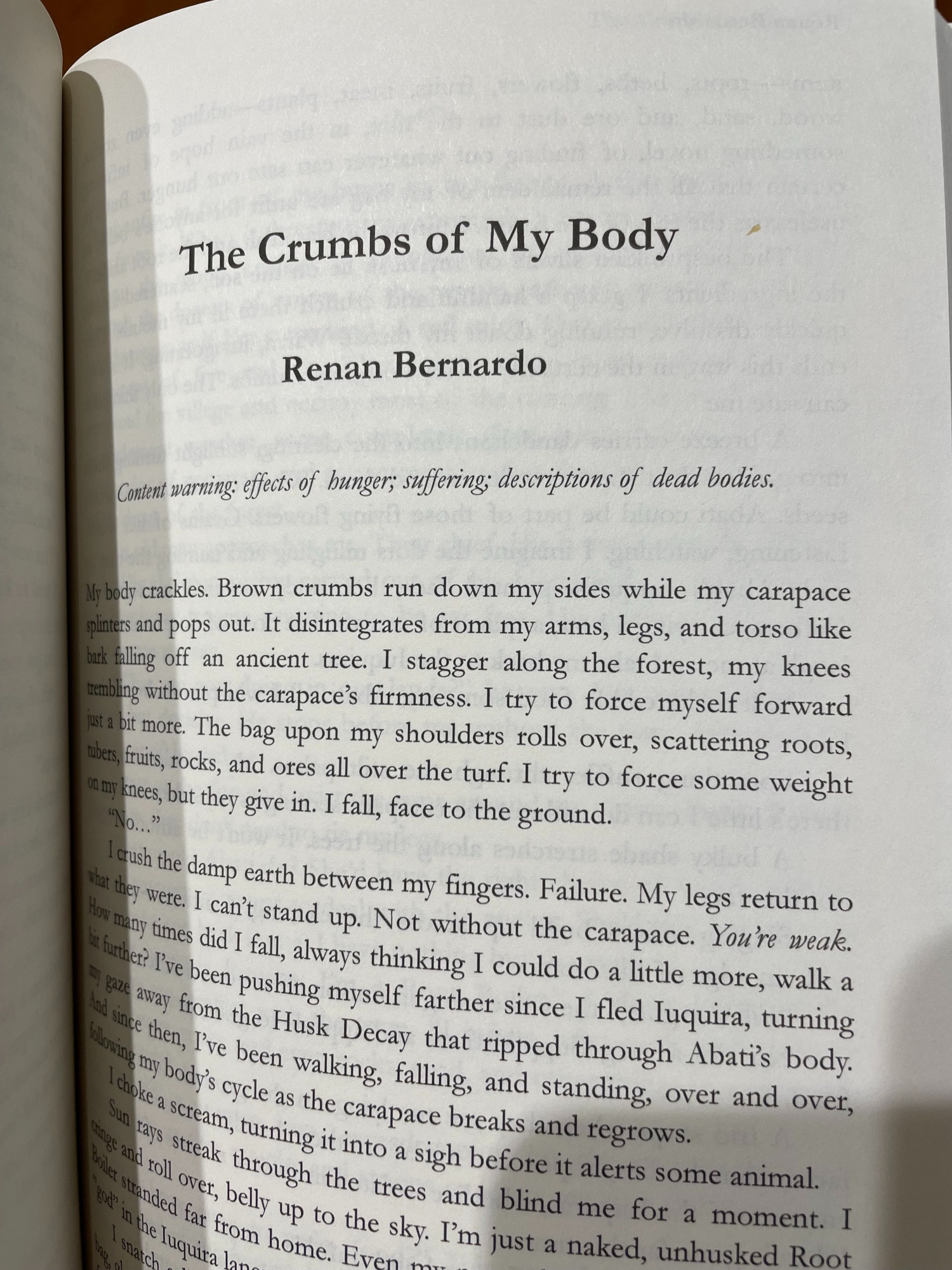 A page of the book with the story The Crumbs of My Body, by Renan Bernardo. The text follows.