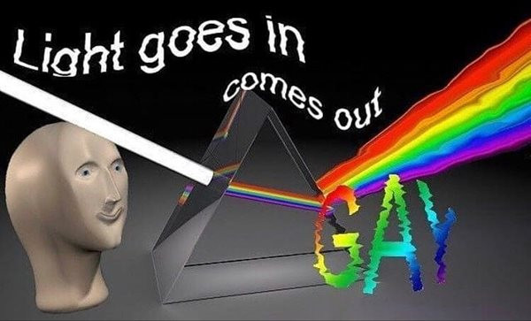 Meme man observing a dispersive prism being hit with the light beam and emitting rainbow on the other end. ‘Light goes in. Comes out gay’, he concludes.