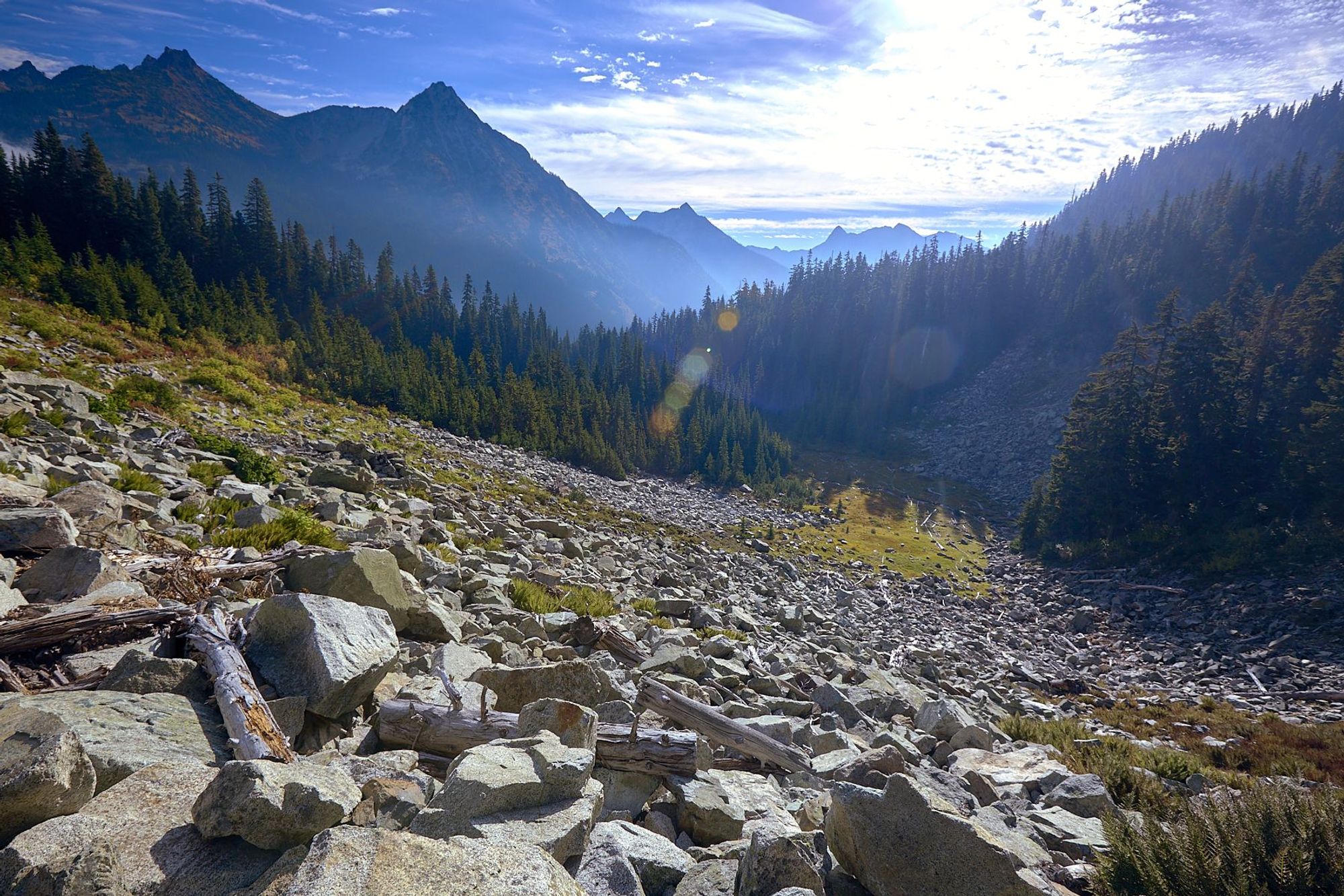 A steep slope covered in broken rocks and intermittent vegetation with a mountain backdrop