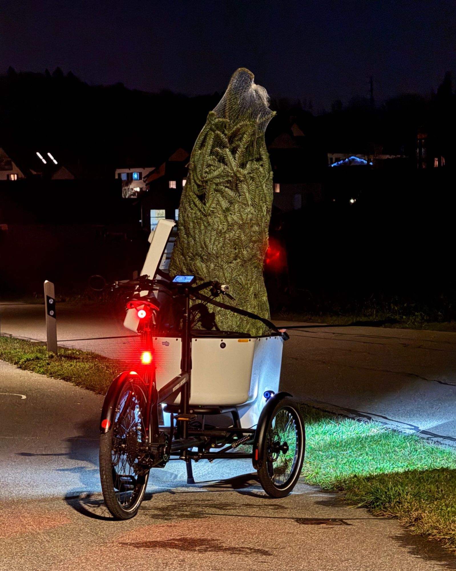 Lastenrad mit dem Baum zum Fest.