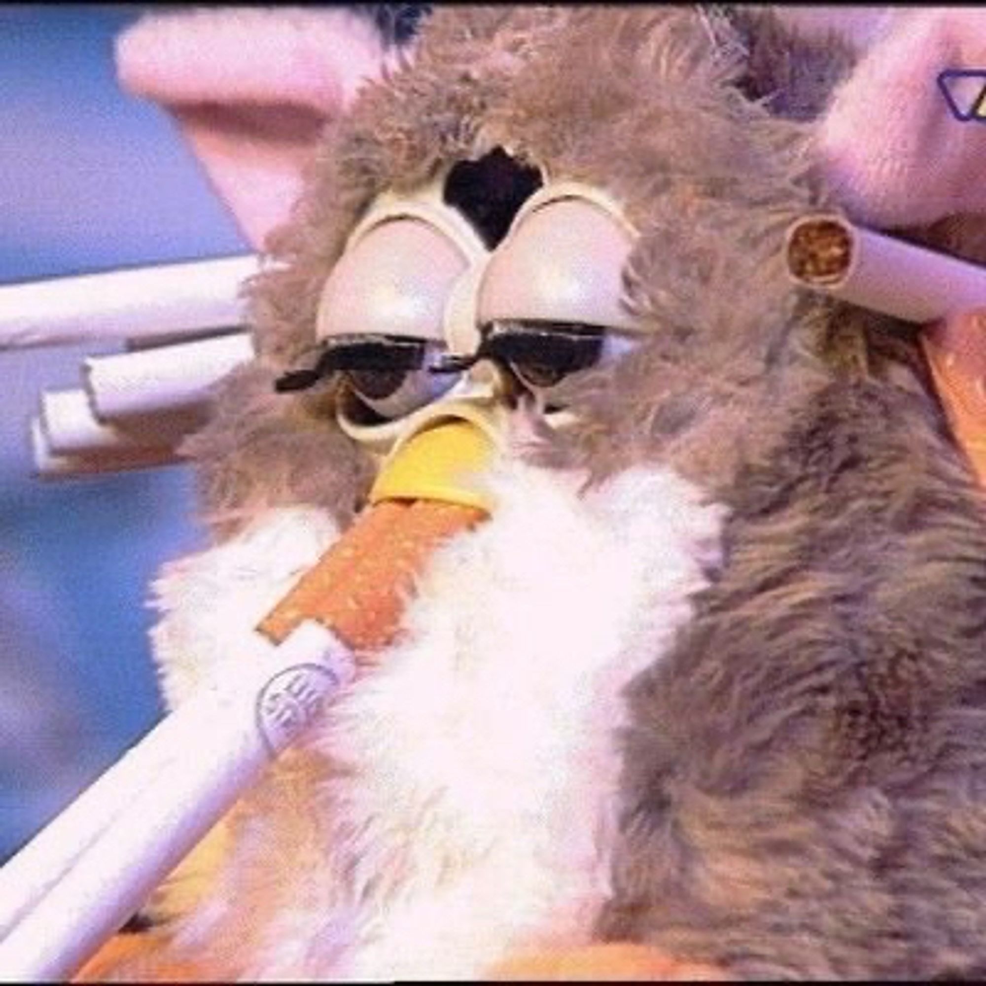 a furby with two lucky strike cigs in its beak, and many more shoved in and behind its ears