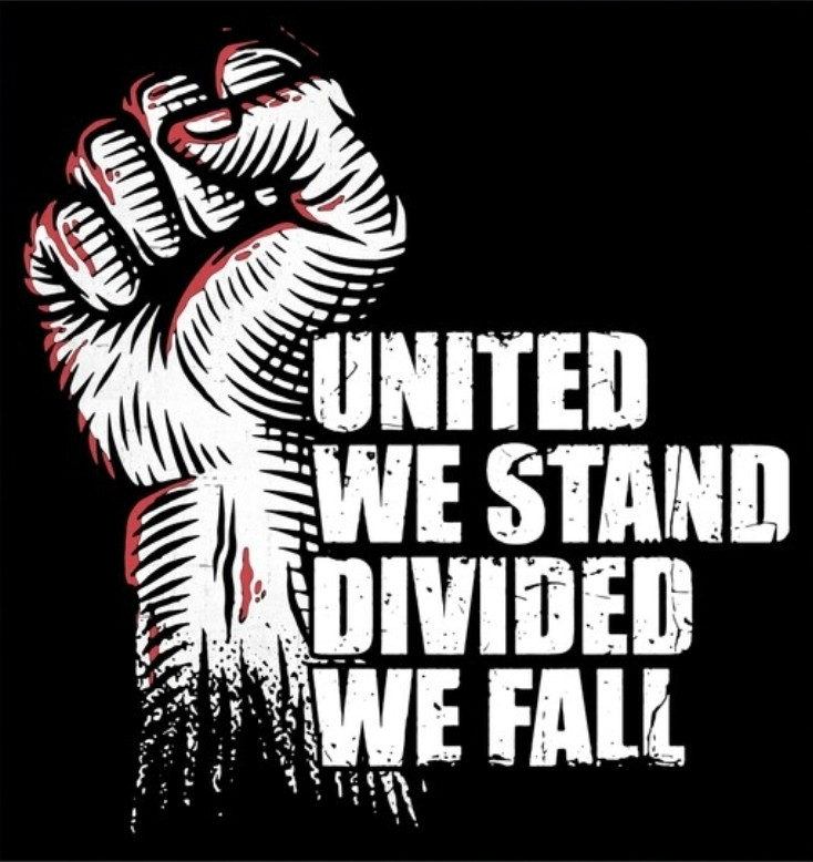 United we stand, divided we fall. 