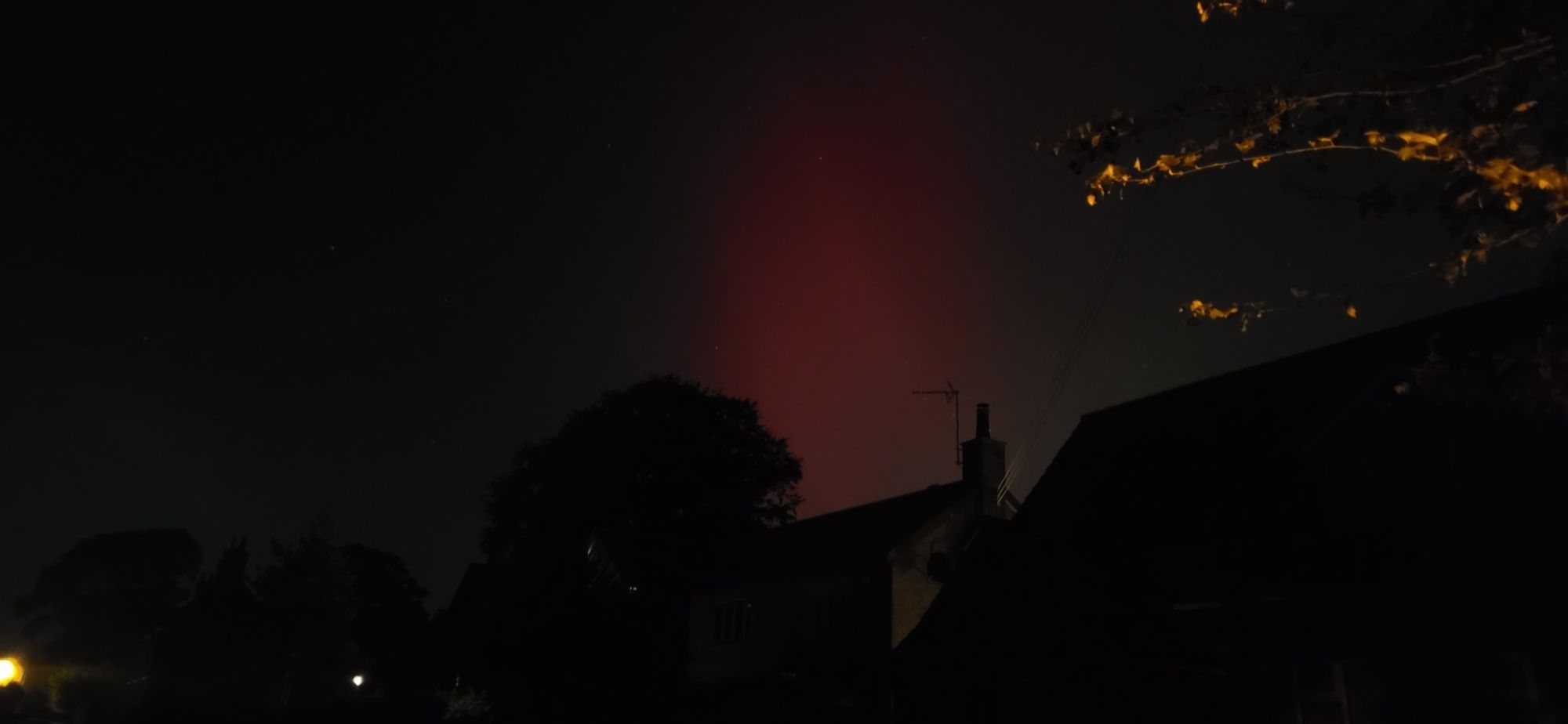 Red haze of the Northern lights above houses and a black sky. A tree to the right looks glittering due to a streetlight