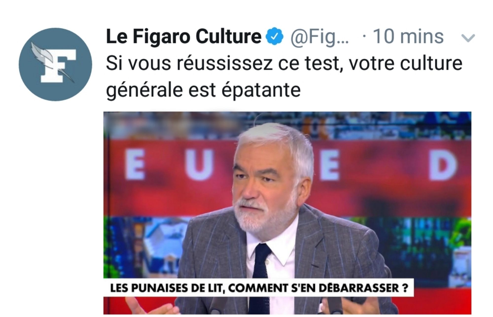 Le Figaro Culture : Si vous réussissez ce test, votre culture générale est épatante. Illustration : Pascal Praud qui demande comment se débarrasser des punaises de lit