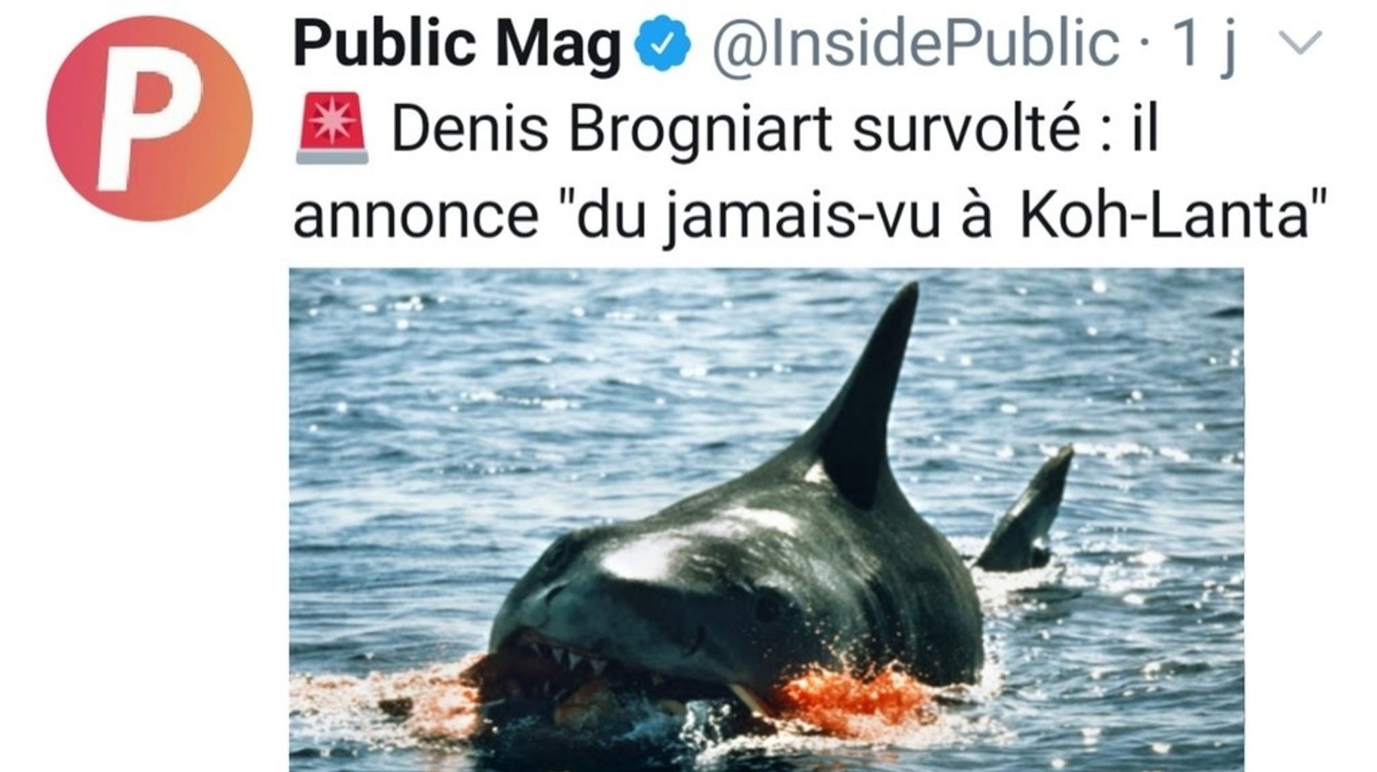 Article Public mag : Denis Brogniart survolté : il
nonce "du jamais-vu à Koh-Lanta". Illustration: un requin qui mange un nageur